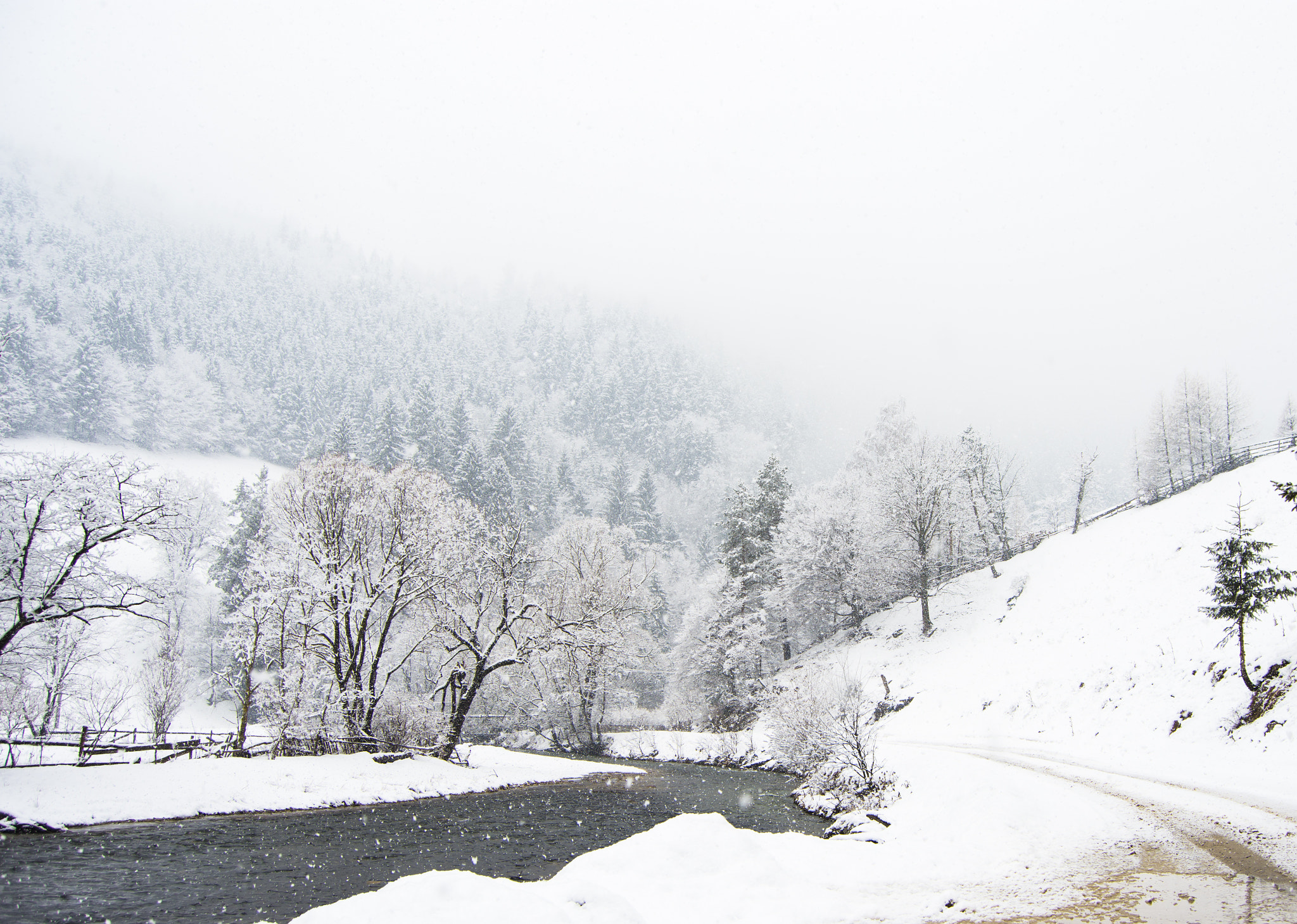 Nikon D7200 sample photo. Winterland 4 photography