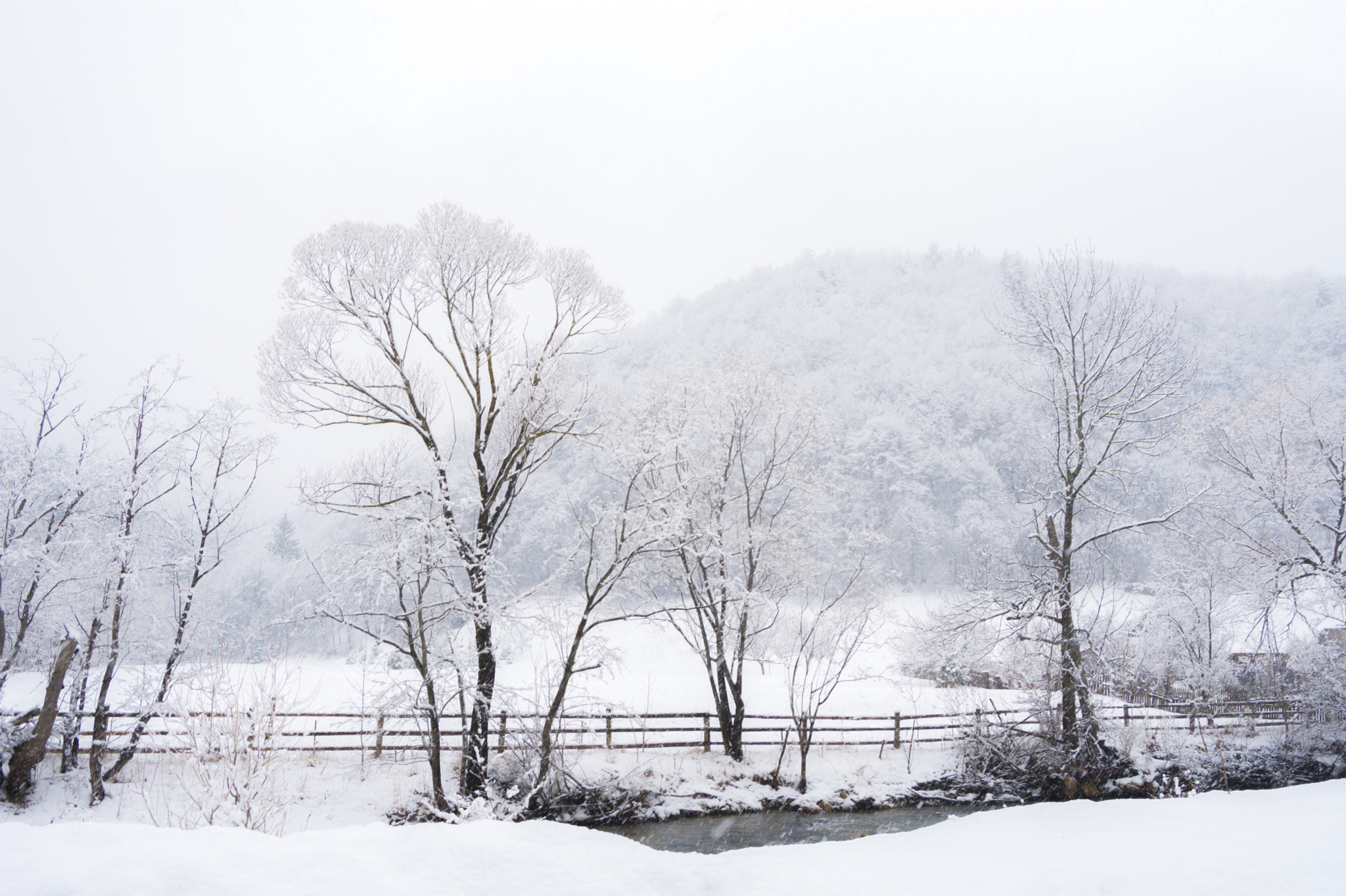 Nikon D7200 sample photo. Winterland 7 photography