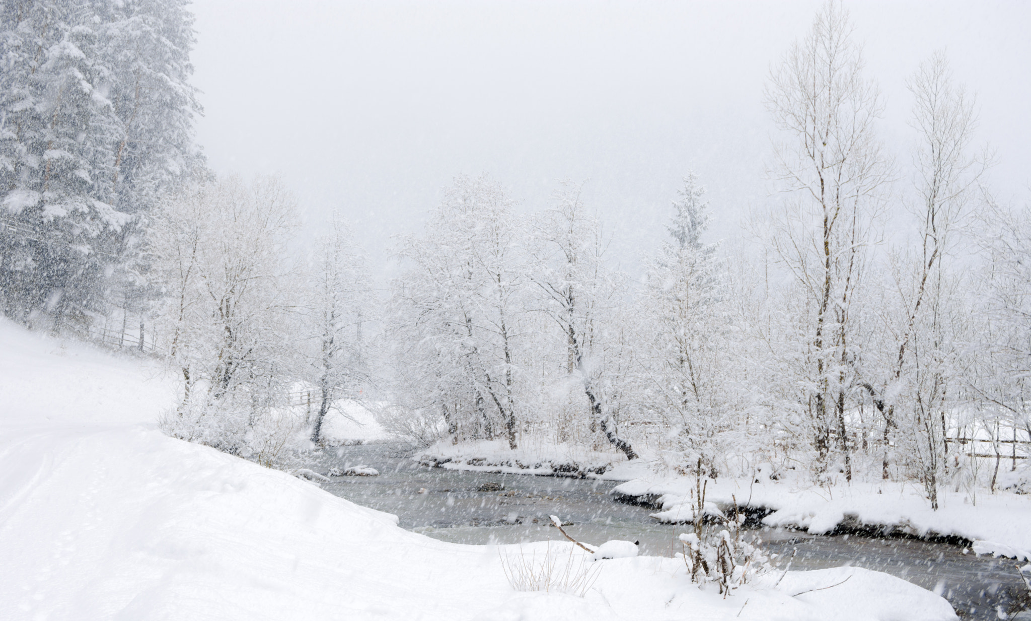 Nikon D7200 sample photo. Winterland 8 photography