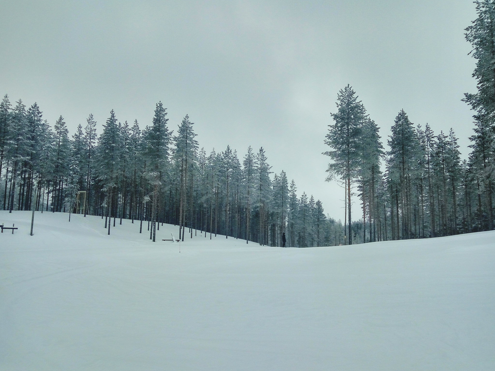 Xiaomi HM Note 2 sample photo. Winter is here  photography