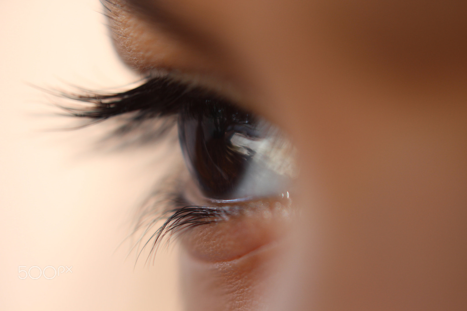 Canon EF 100mm F2.8 Macro USM sample photo. . photography