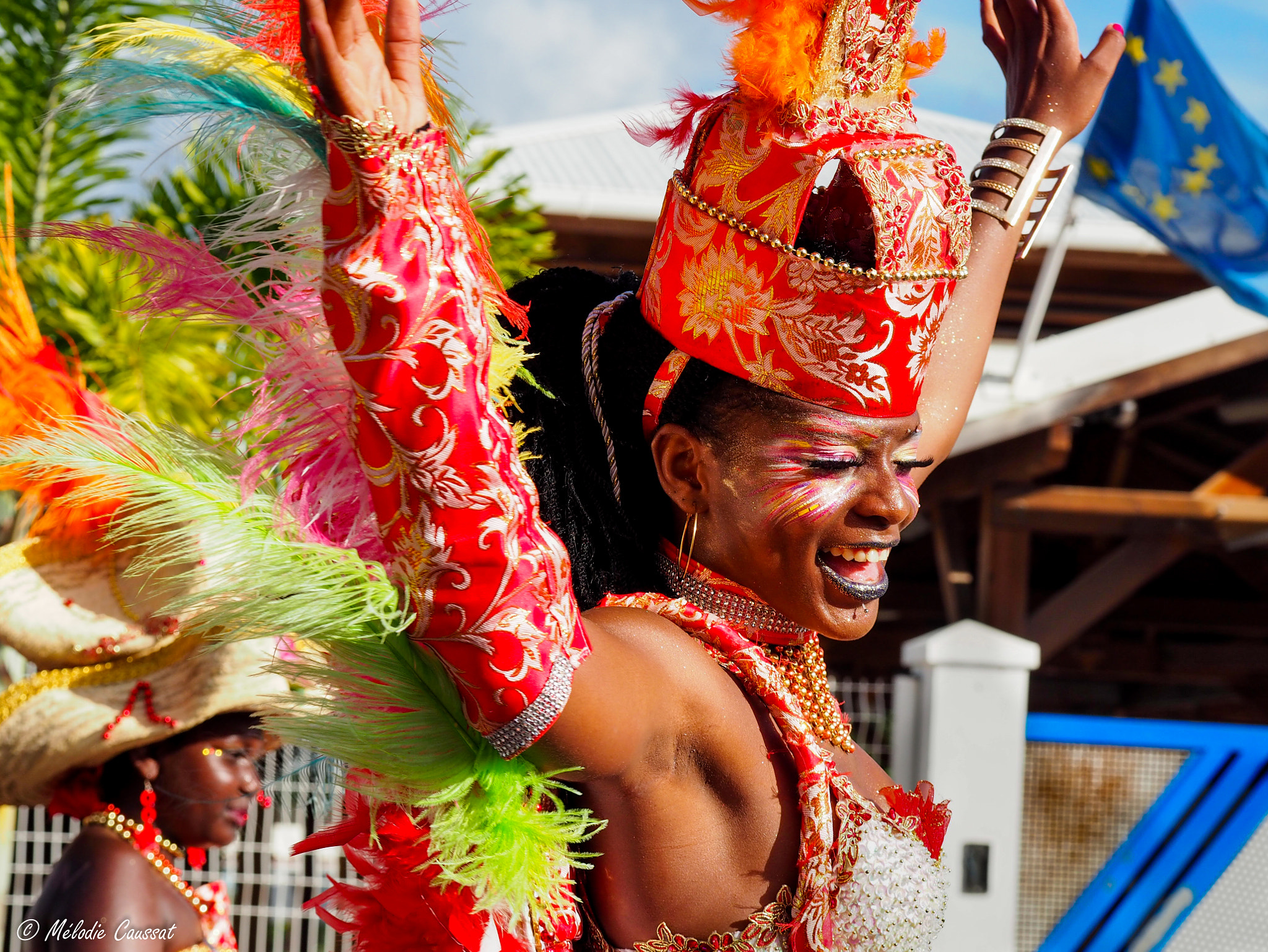 Olympus M.Zuiko Digital ED 60mm F2.8 Macro sample photo. Caribbean carnival ! photography