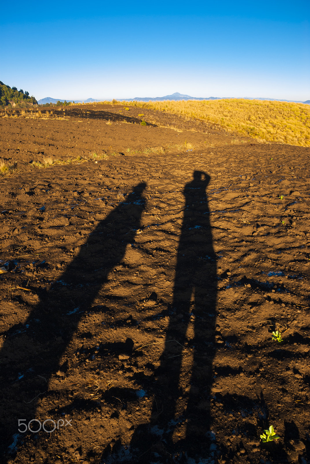 Nikon D200 sample photo. Catching morning light in the mountains photography