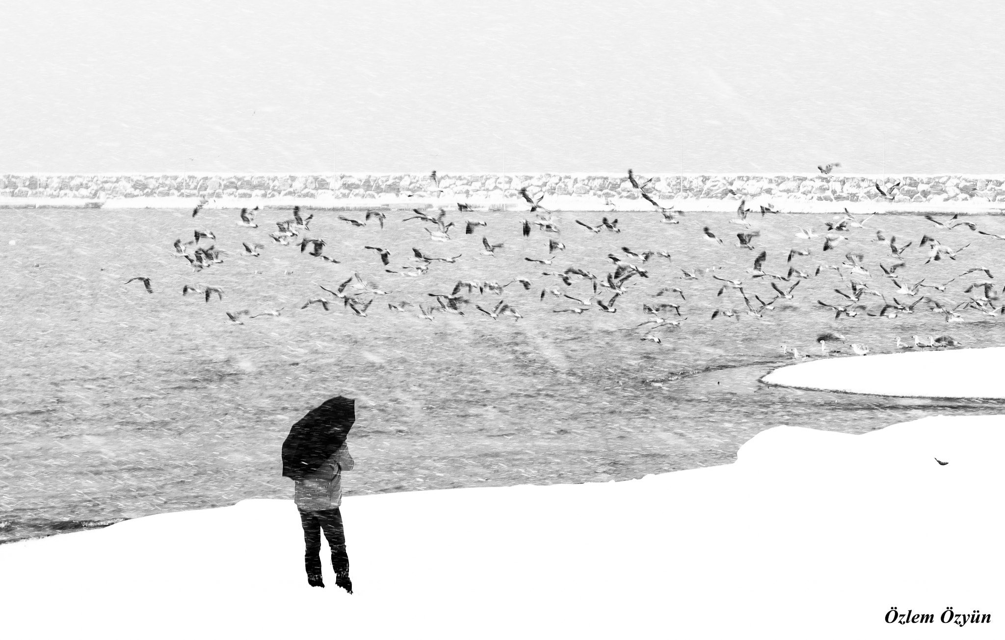 Sigma 70-200mm F2.8 EX DG OS HSM sample photo. Winter photography