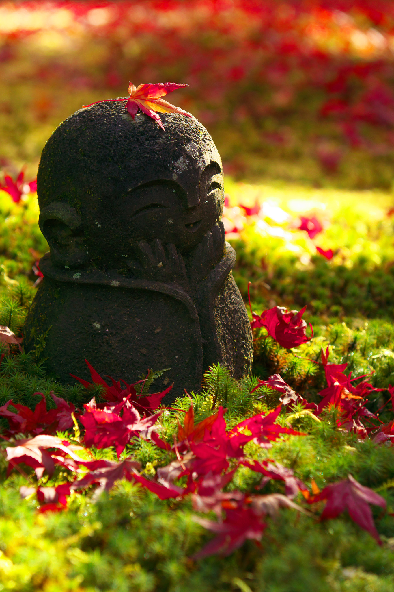 Sony DT 16-105mm F3.5-5.6 sample photo. Smile in kyoto photography