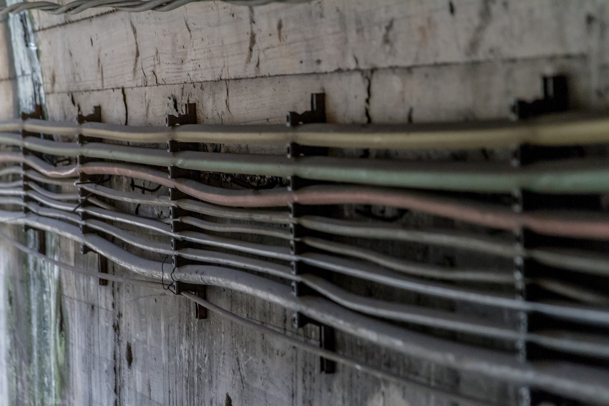 Canon EF 24-70mm F2.8L II USM sample photo. Alineaciones. photography