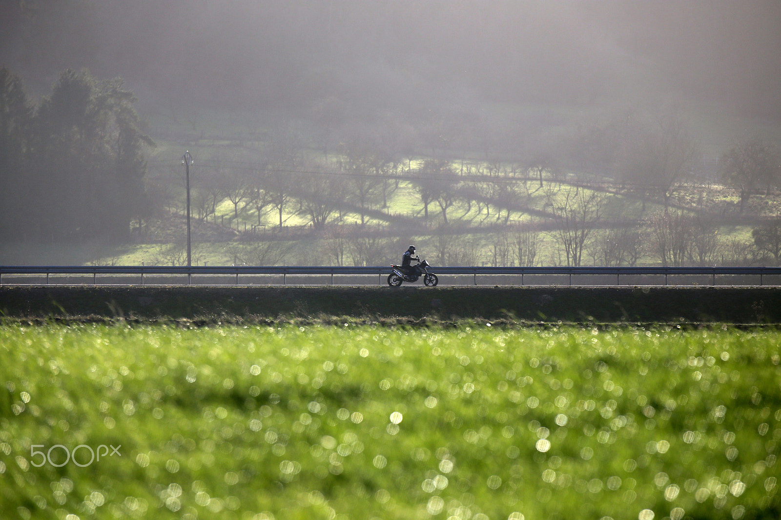 Canon EF 70-200mm F2.8L IS II USM sample photo. Vroooooum photography