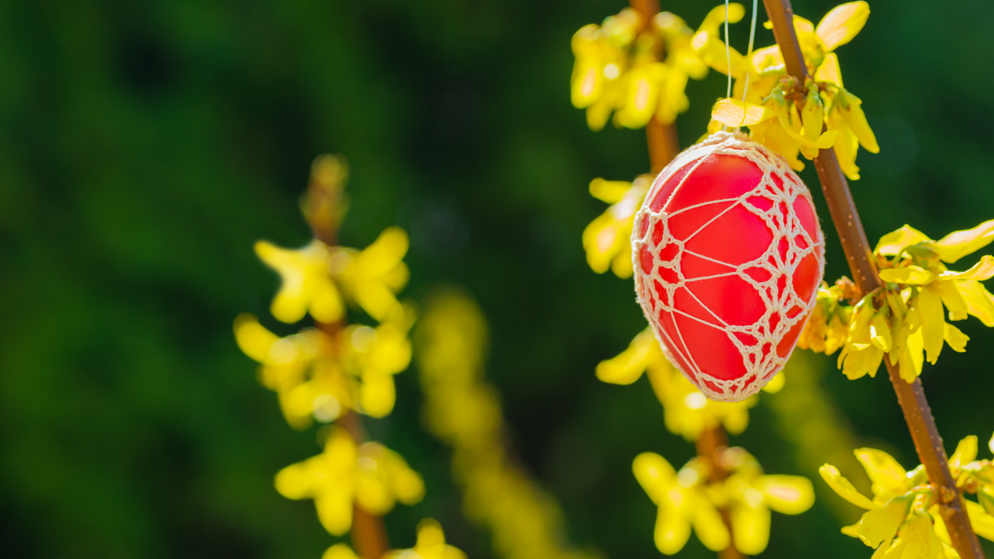 Nikon D4S + Sigma 70mm F2.8 EX DG Macro sample photo. Beautiful easter eggs hanging from a blooming forsythia photography