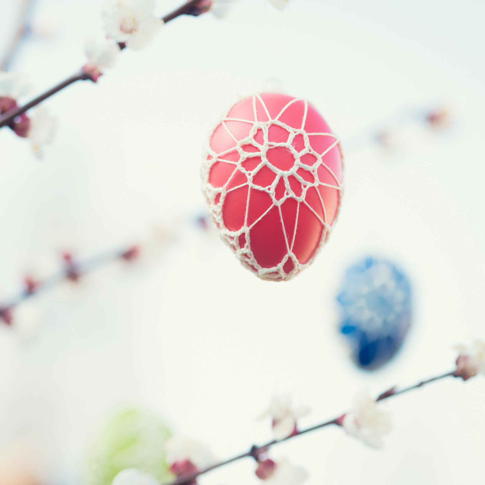 Sigma 70mm F2.8 EX DG Macro sample photo. Colorful easter eggs hanging from a blossoming apple tree photography