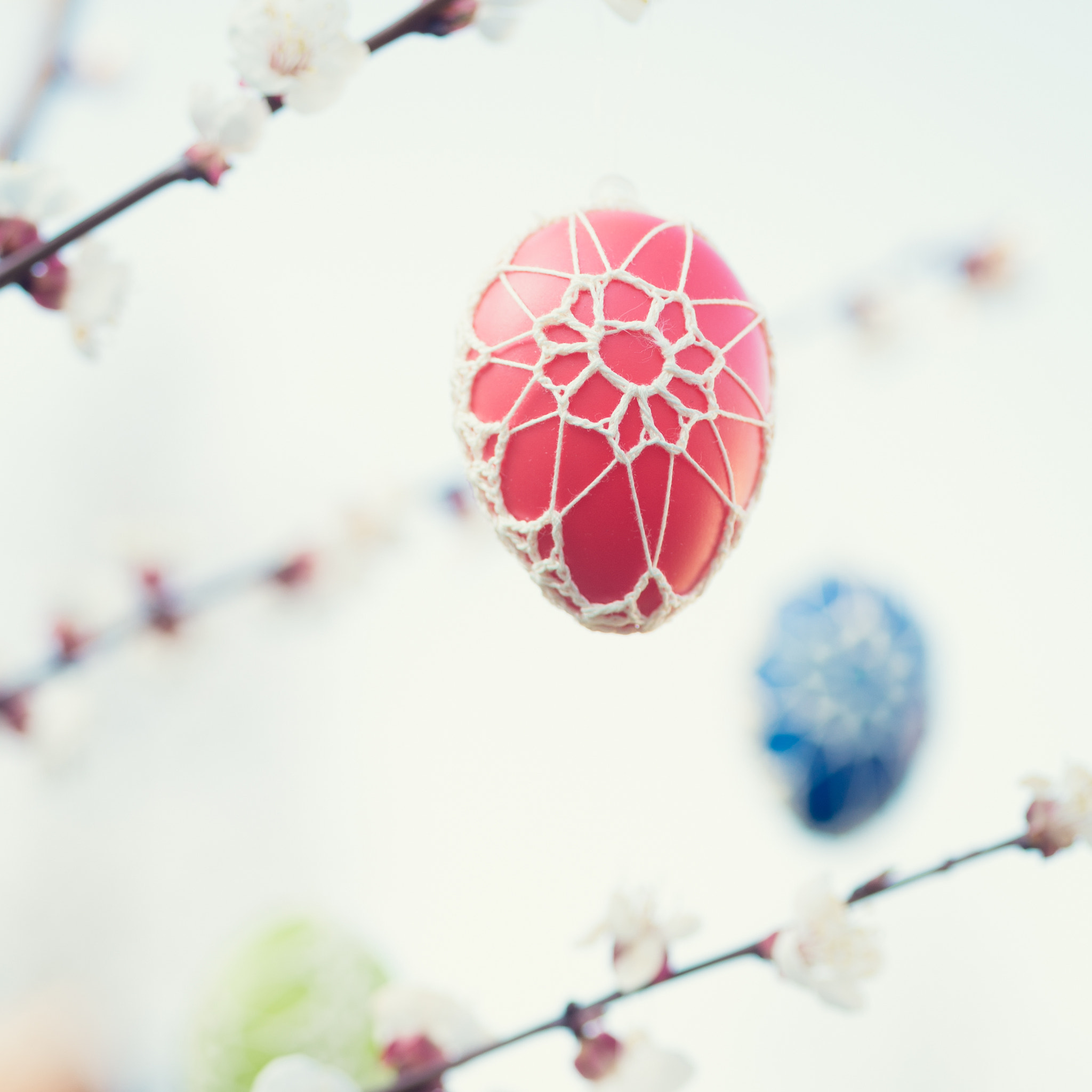 Nikon D4S + Sigma 70mm F2.8 EX DG Macro sample photo. Colorful easter eggs hanging from a blossoming apple tree photography