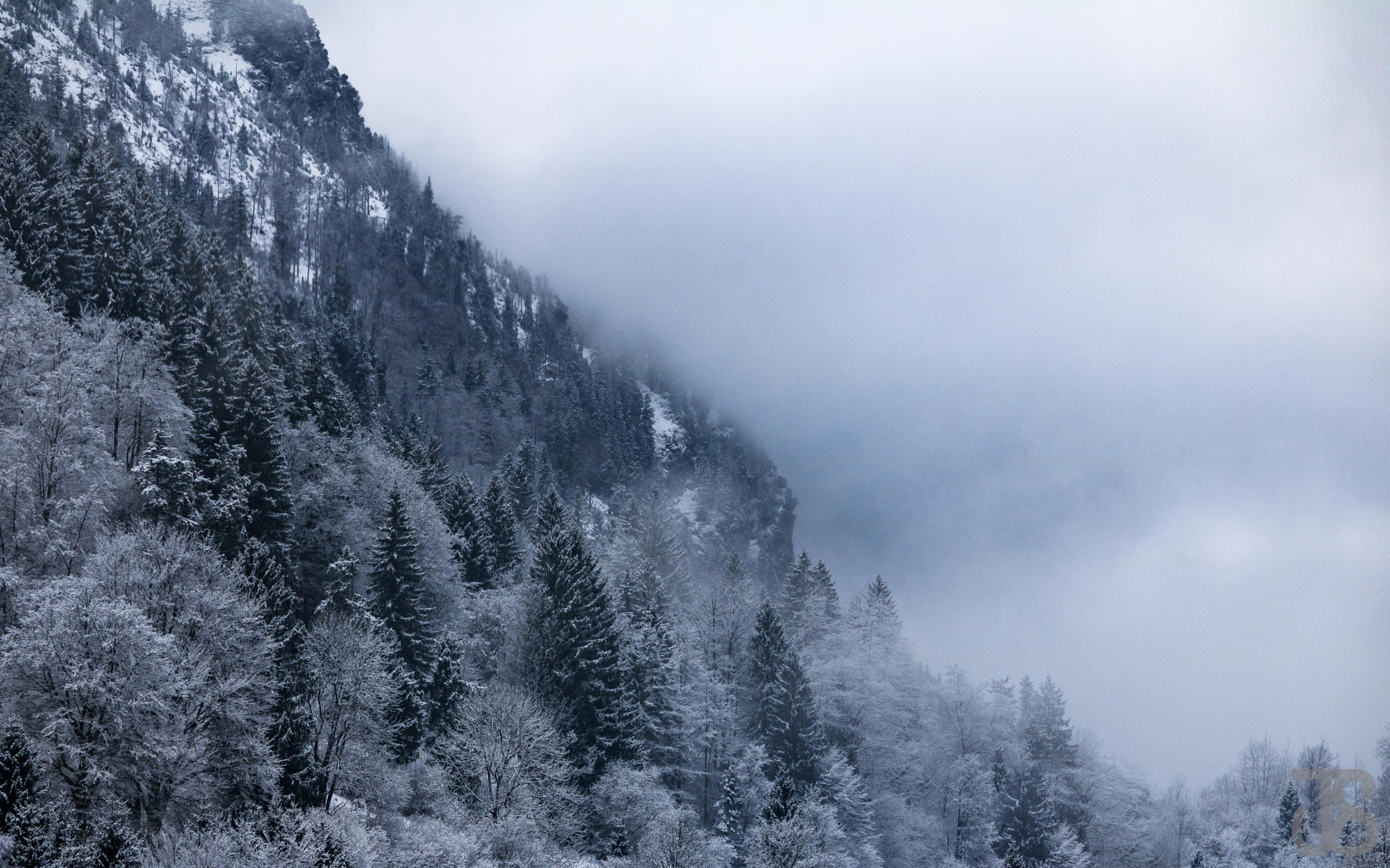 Canon EF-S 55-250mm F4-5.6 IS STM sample photo. Winterfeeling photography