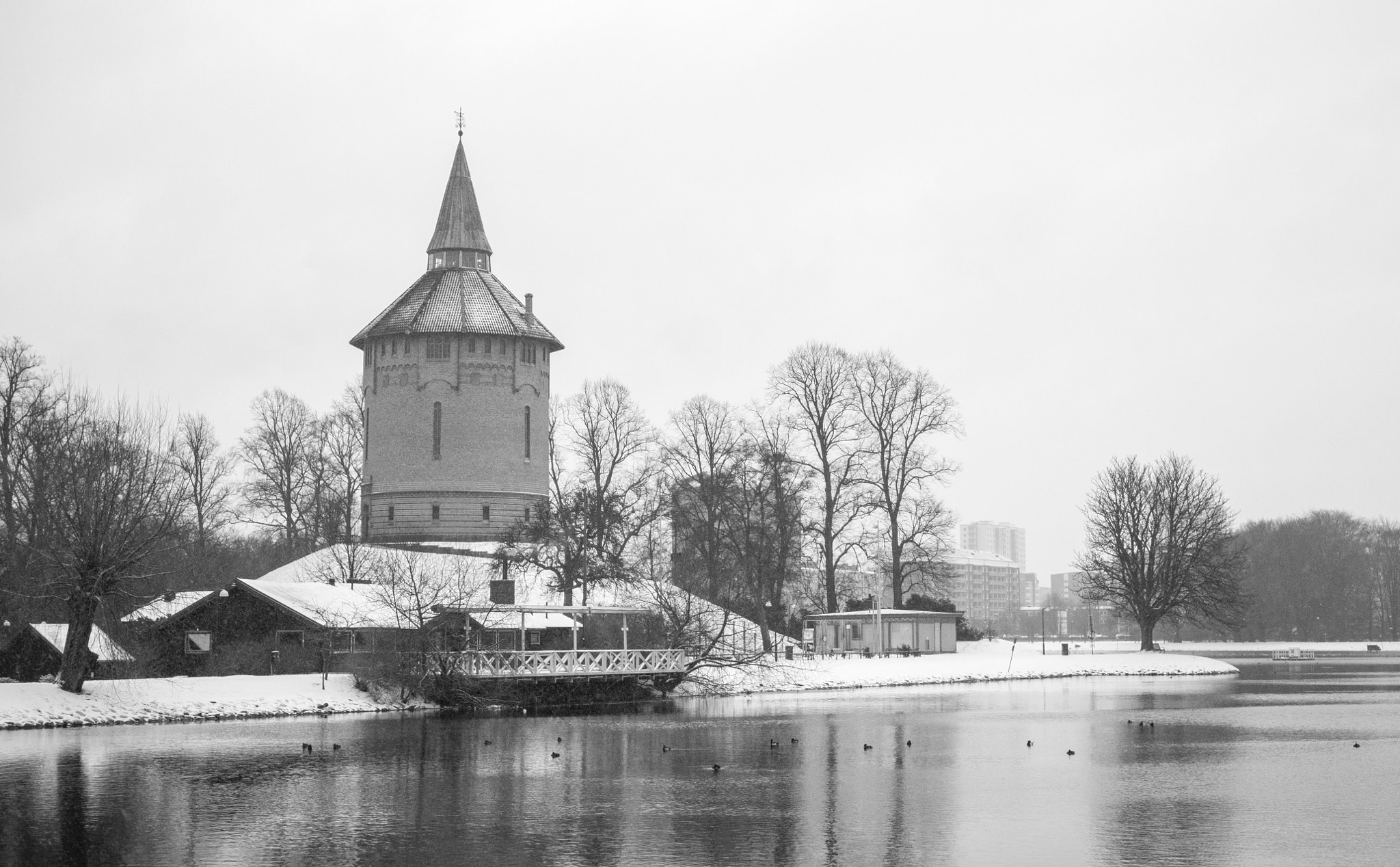 LUMIX G 25/F1.7 sample photo. Winter wonderland photography