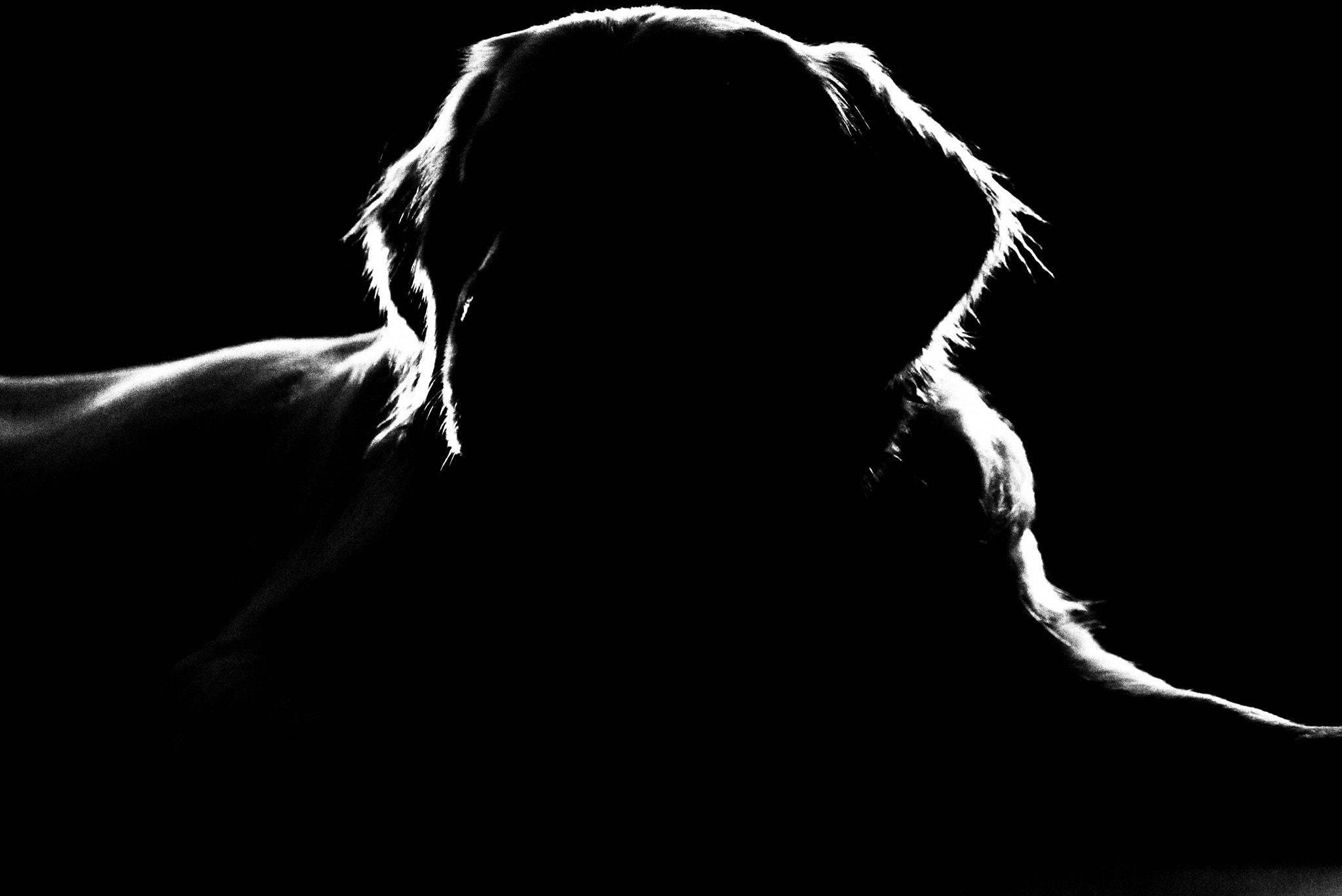 Panasonic Lumix DMC-GH3 sample photo. Dog photography