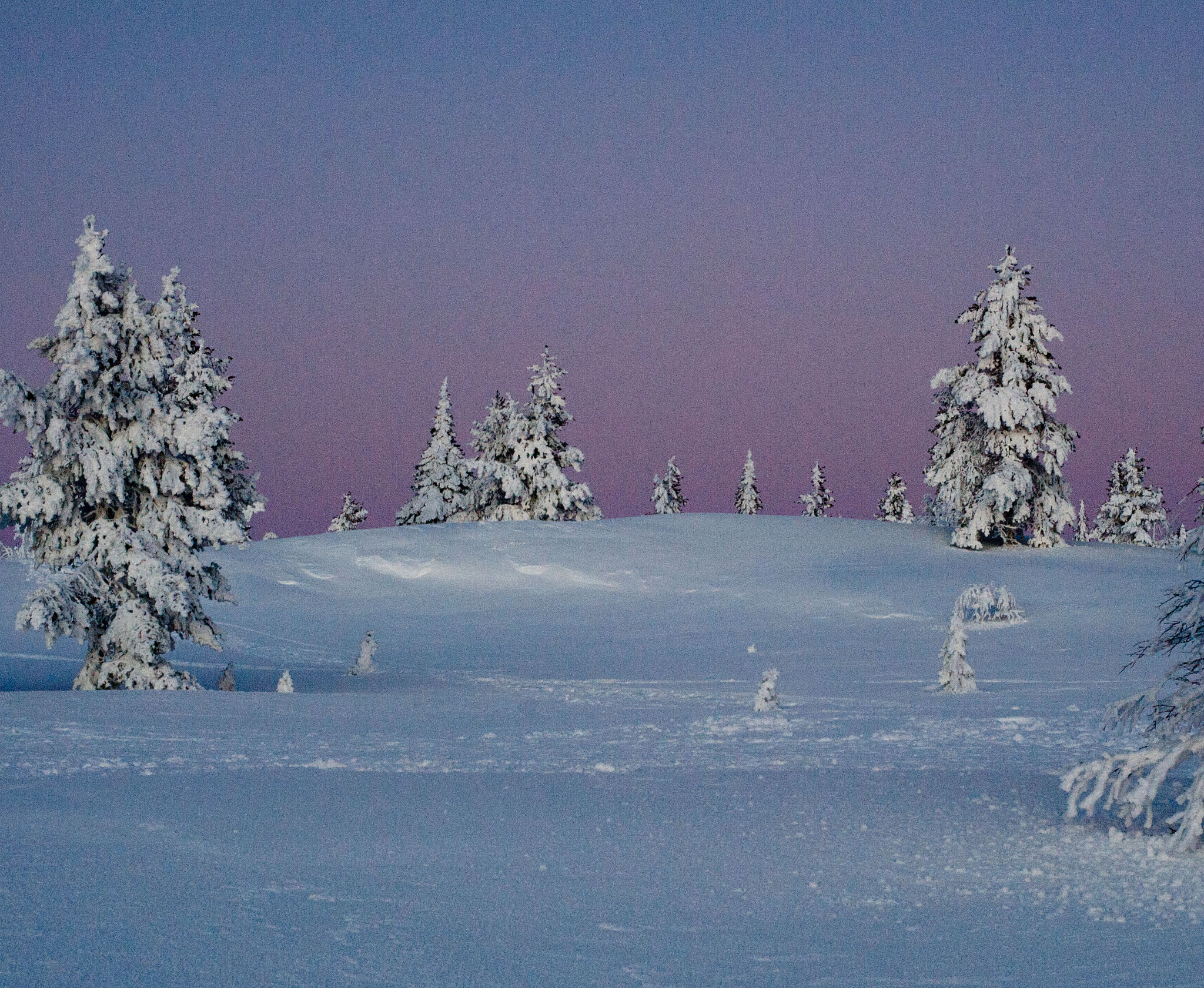 Nikon D700 sample photo. Lapland's pink hour photography