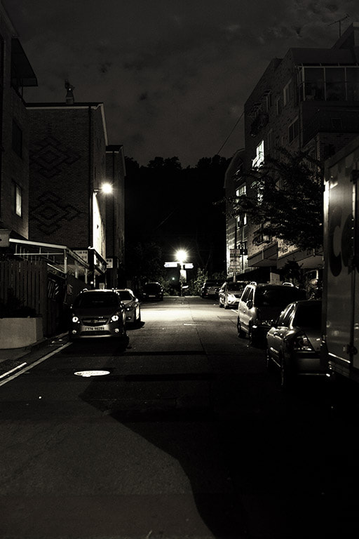 Canon EOS-1Ds Mark III sample photo. 골목길 photography