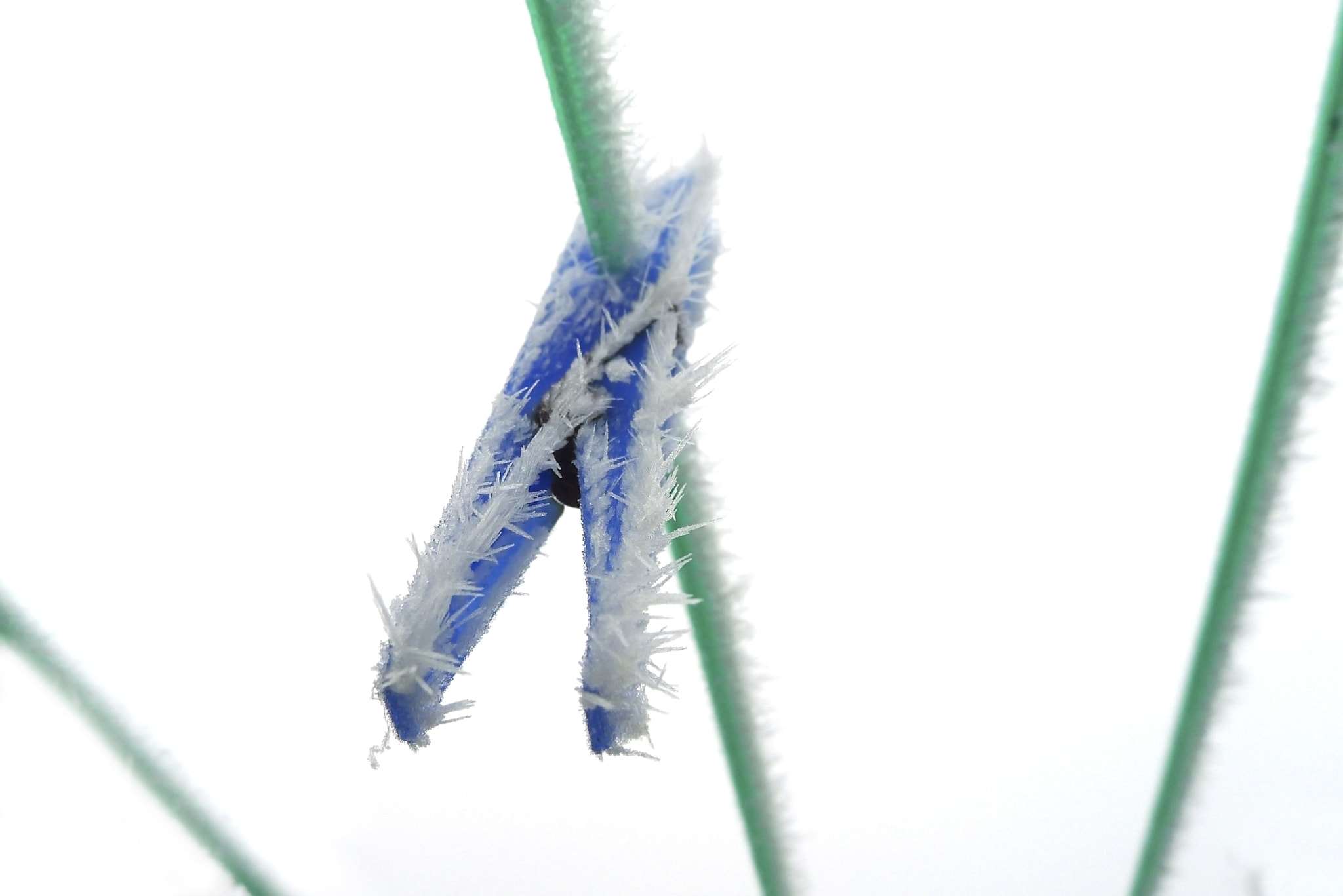 Leica D-LUX 5 sample photo. Frozen nature photography