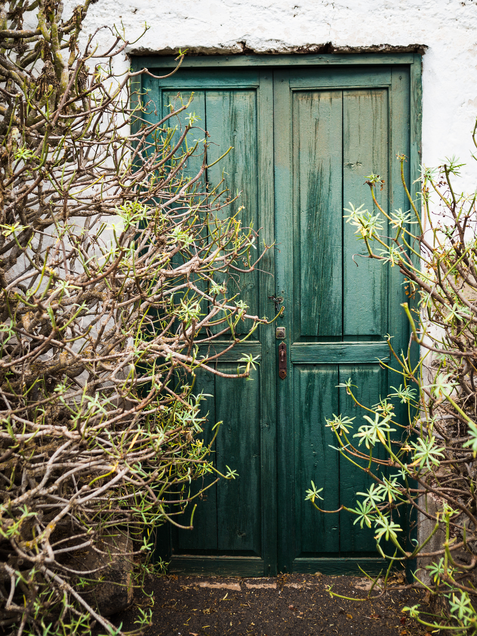 Sigma 19mm F2.8 DN Art sample photo. Green door photography