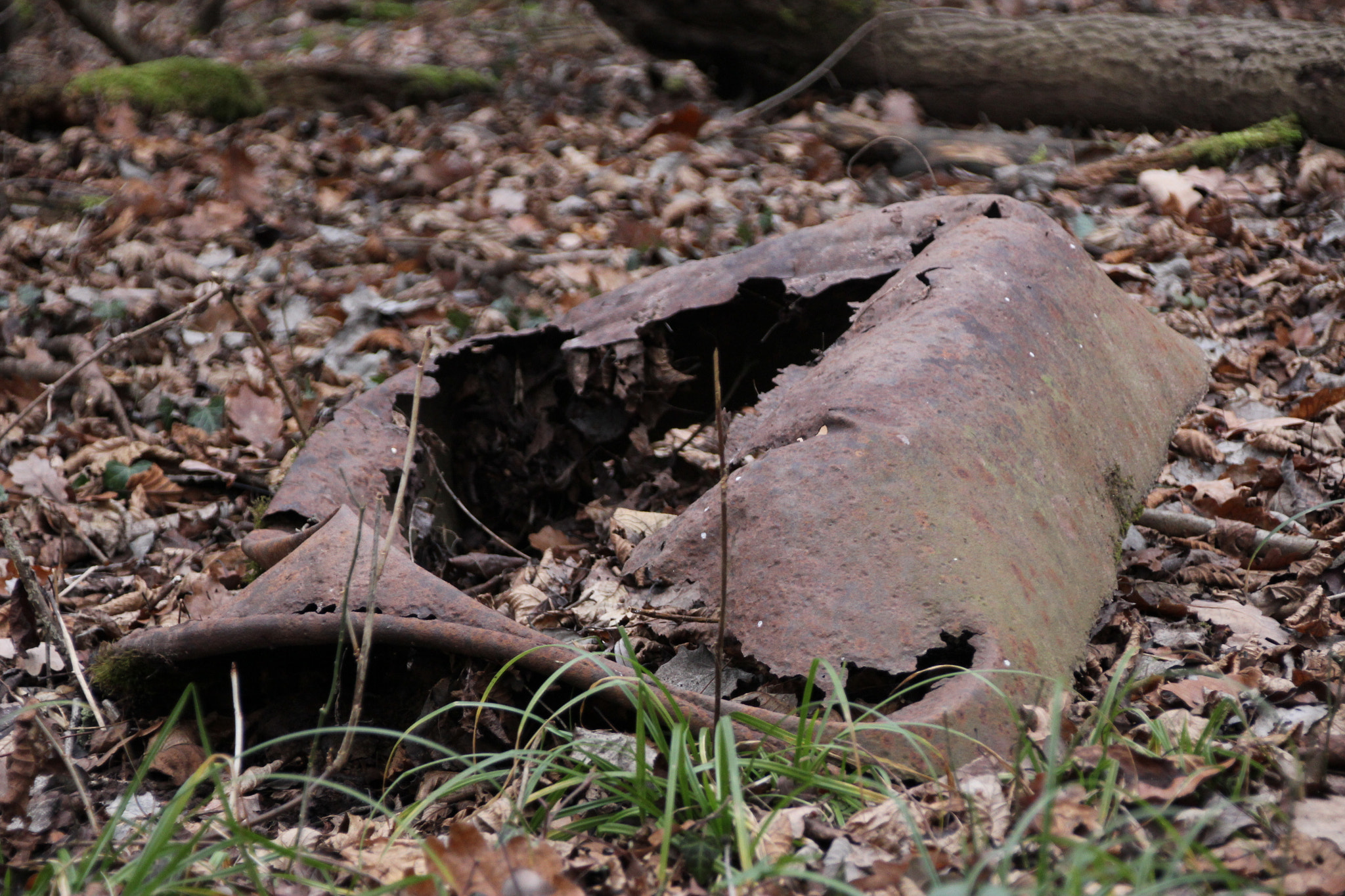 Canon EOS 60D + Canon TS-E 90mm F2.8 Tilt-Shift sample photo. The remains of an old tub photography