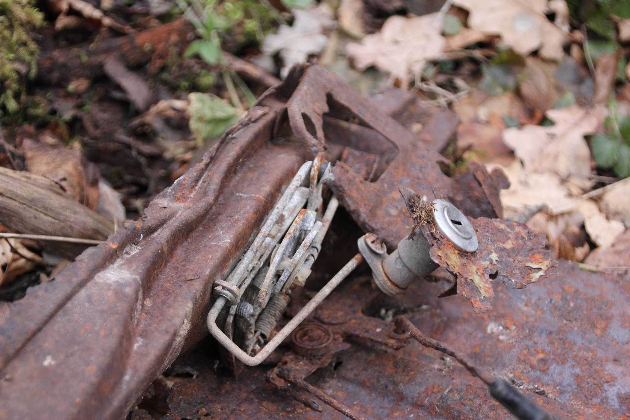 Canon EOS 60D sample photo. The remains of an old car photography