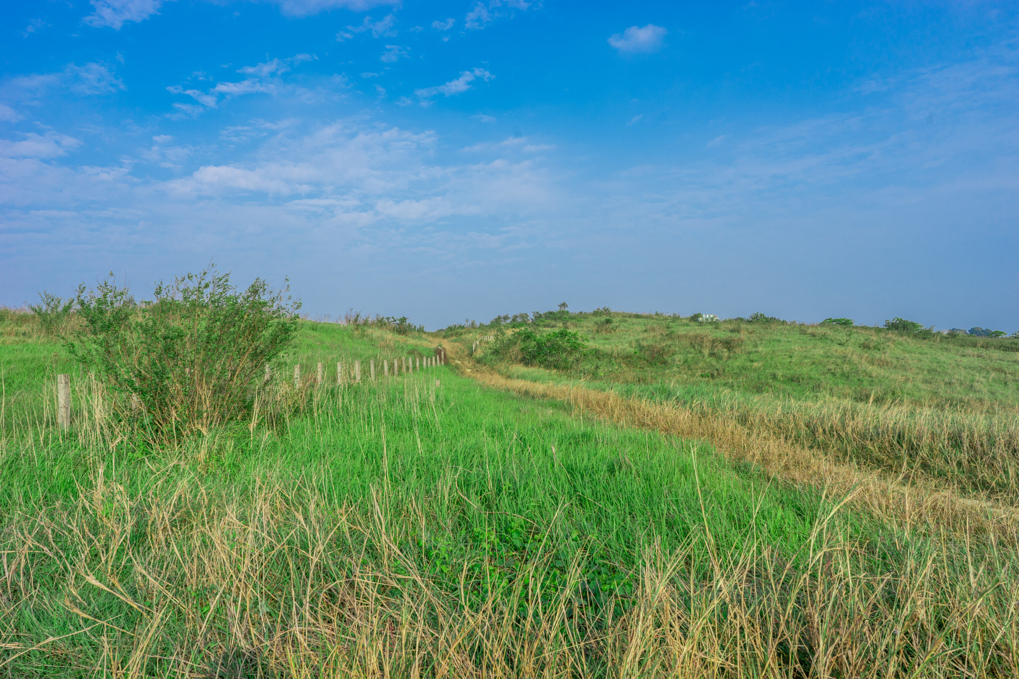 Sony a7 II + ZEISS Batis 25mm F2 sample photo. Prairie photography