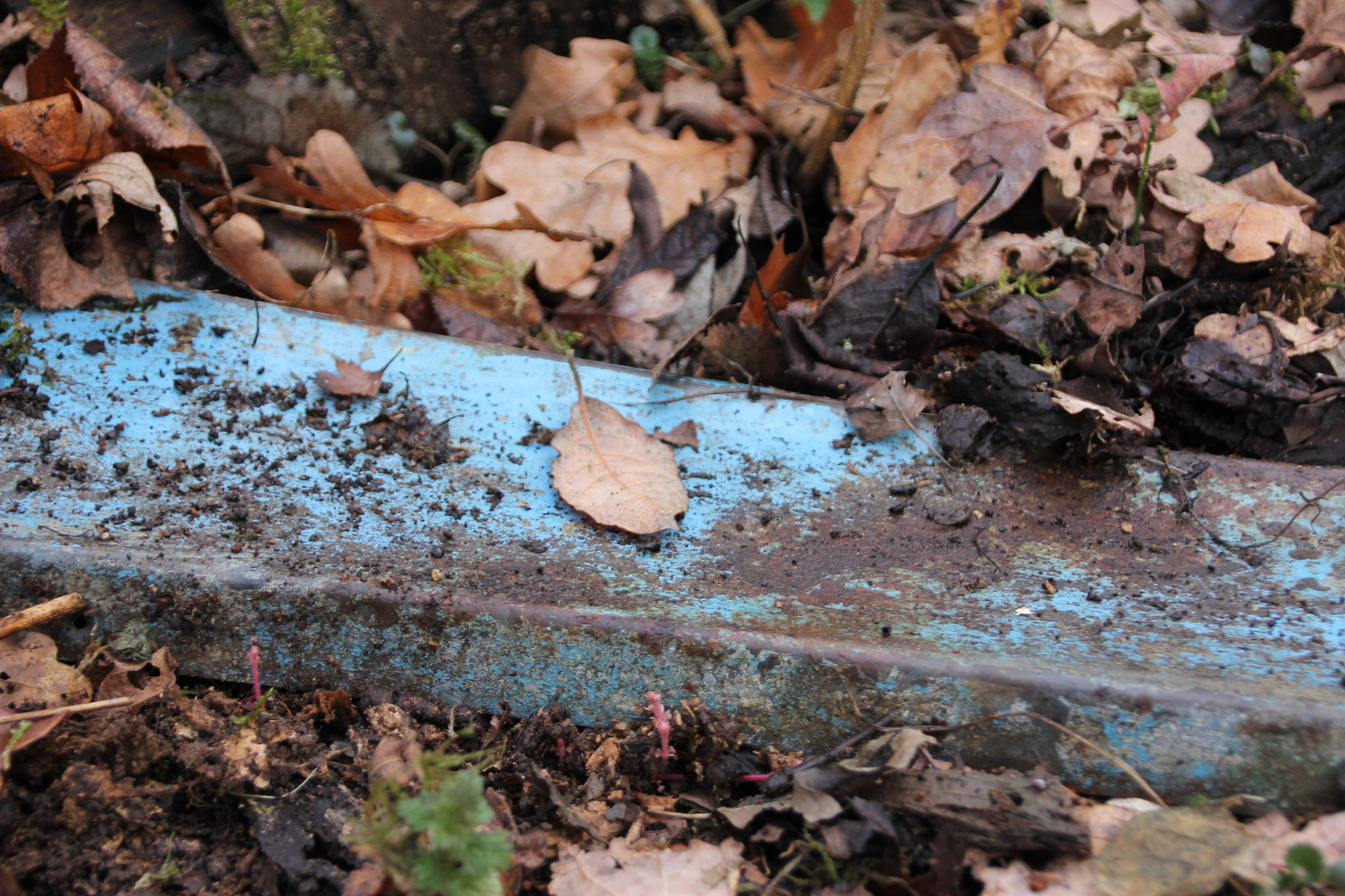 Canon EOS 60D + Canon TS-E 90mm F2.8 Tilt-Shift sample photo. The remains of an old car photography
