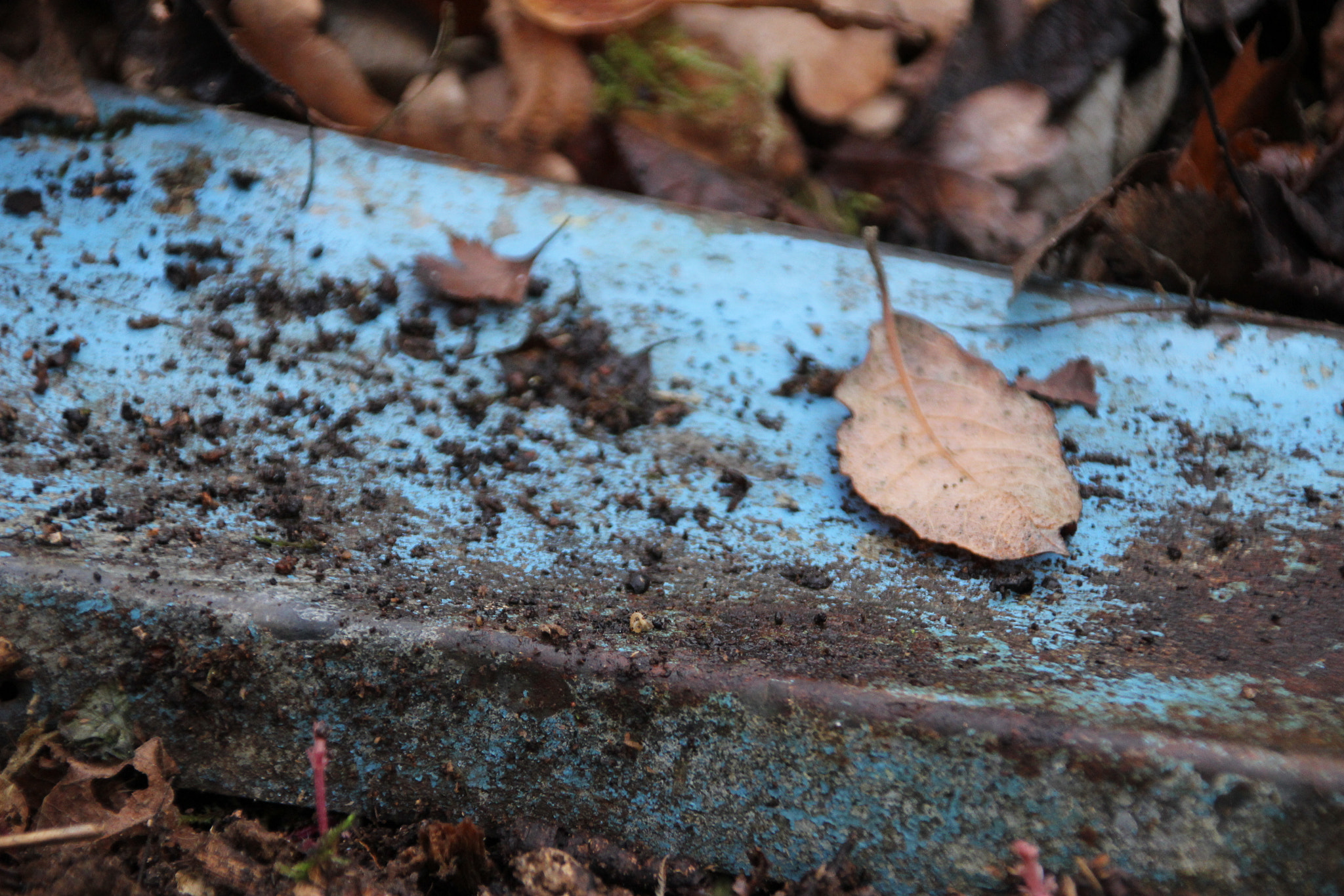 Canon EOS 60D + Canon TS-E 90mm F2.8 Tilt-Shift sample photo. The remains of an old car photography