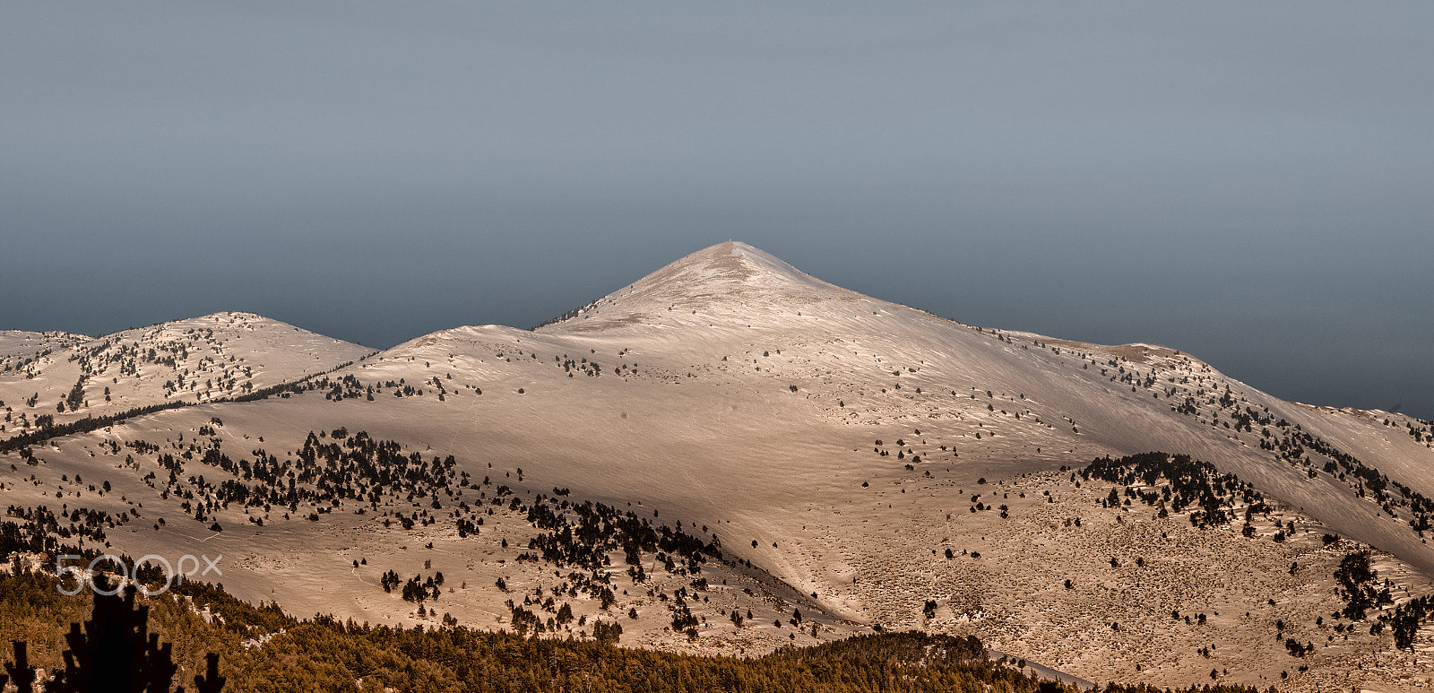 Canon EOS-1D X + Canon EF 300mm f/2.8L sample photo. Pyrénées-orientales . photography