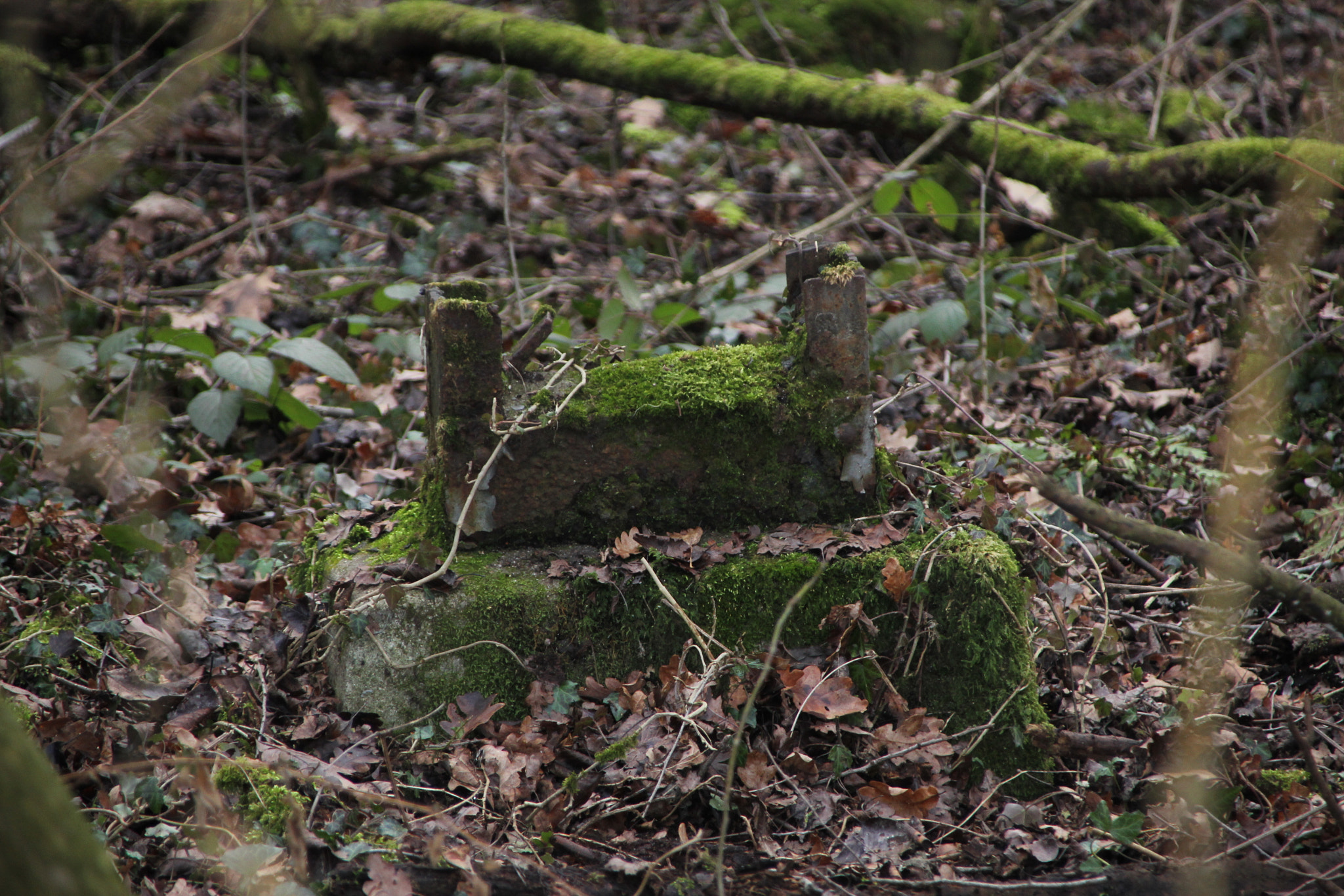 Canon TS-E 90mm F2.8 Tilt-Shift sample photo. The remains of an old railway embankment photography