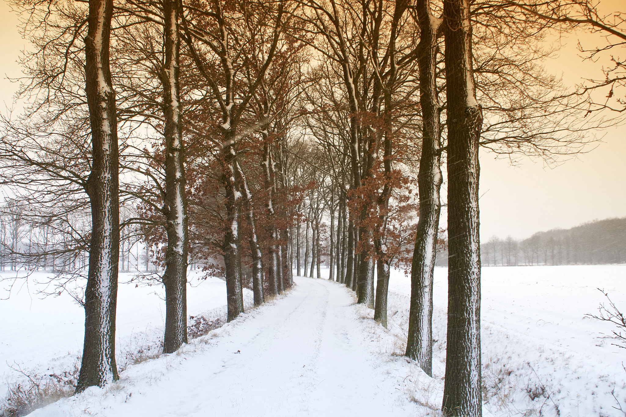 Canon EOS 60D sample photo. Cold alley photography