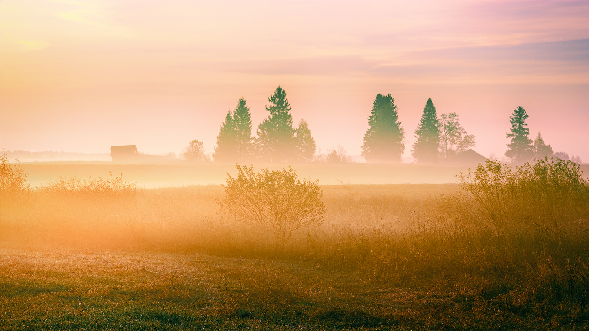 Canon EOS 450D (EOS Rebel XSi / EOS Kiss X2) sample photo. Morning autumn in the village... photography