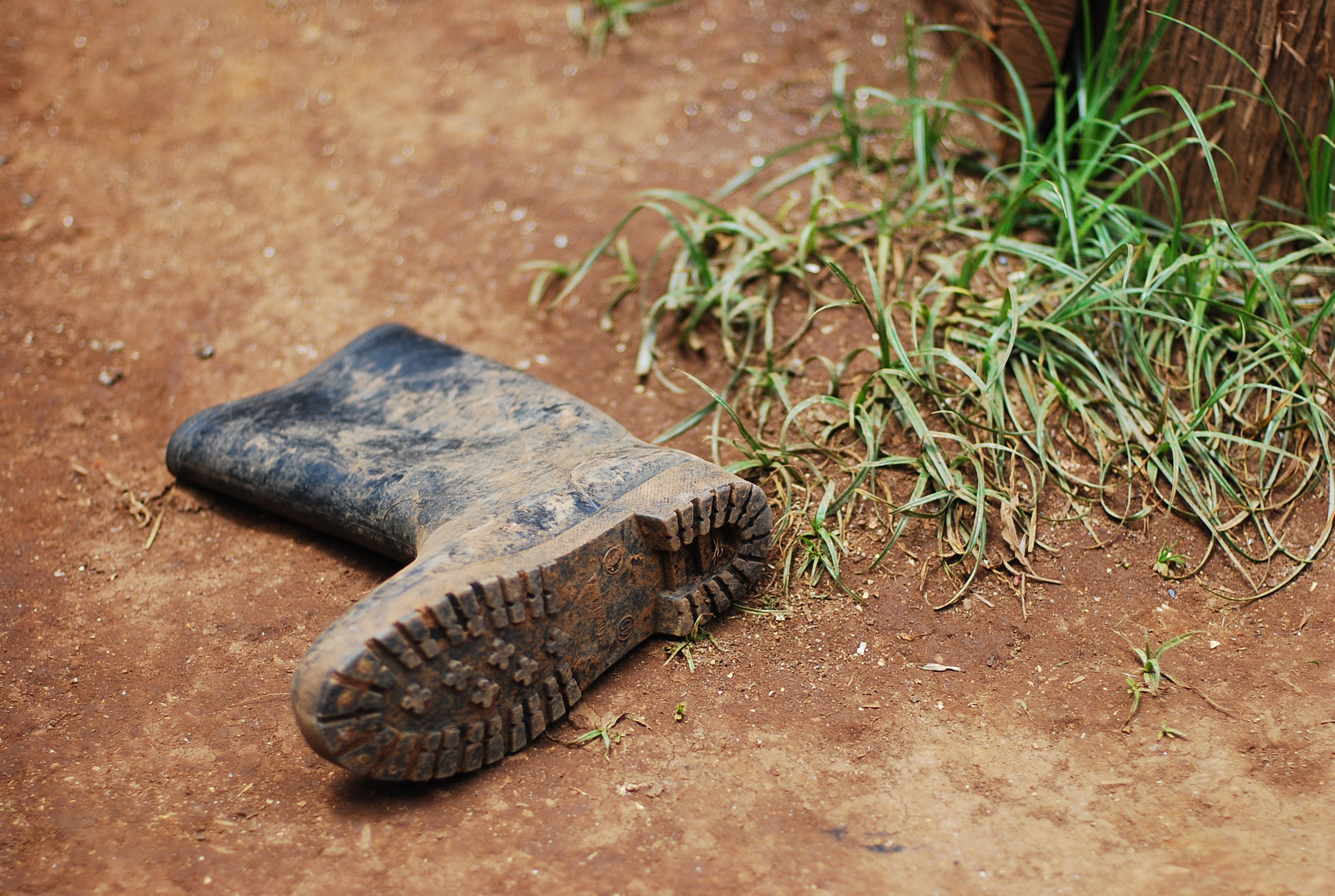 Nikon D80 sample photo. Planting season photography