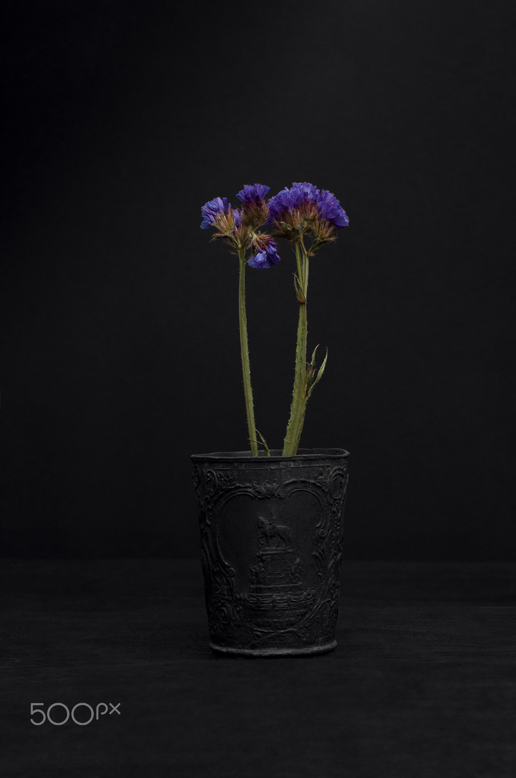 Nikon D90 sample photo. Purple flowers on black glass photography