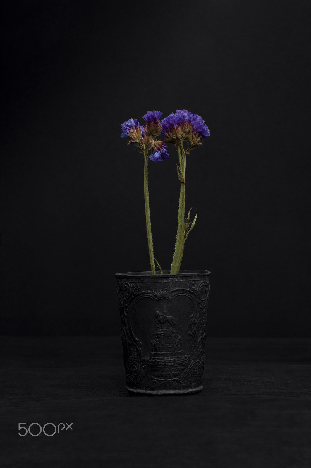 Nikon D90 + Nikon AF-S Nikkor 50mm F1.4G sample photo. Purple flowers on black glass photography