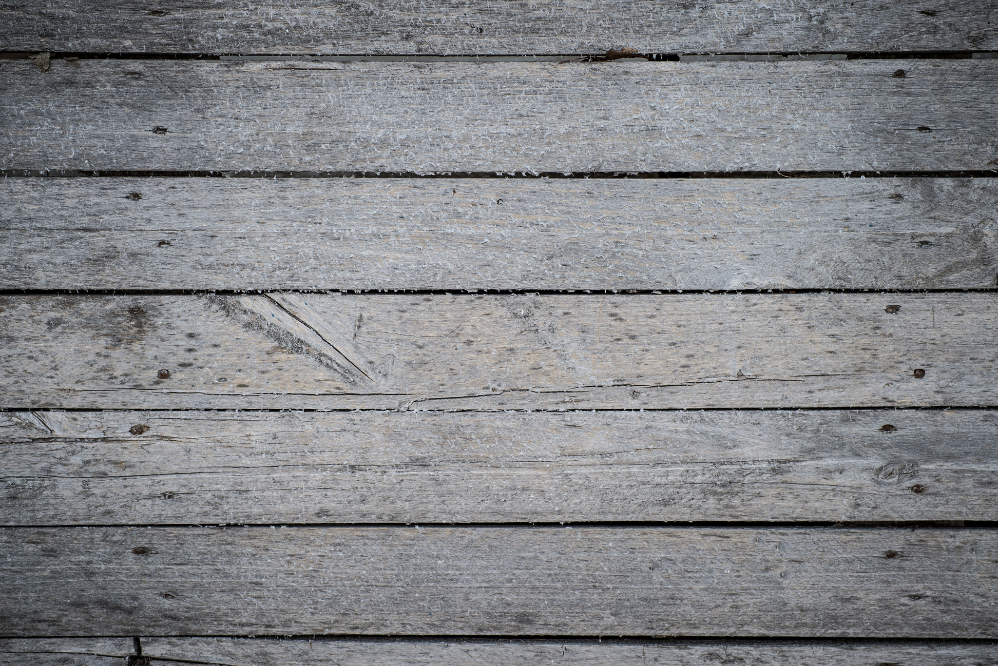 Nikon D4S + Sigma 70mm F2.8 EX DG Macro sample photo. Dark grey wooden background texture photography