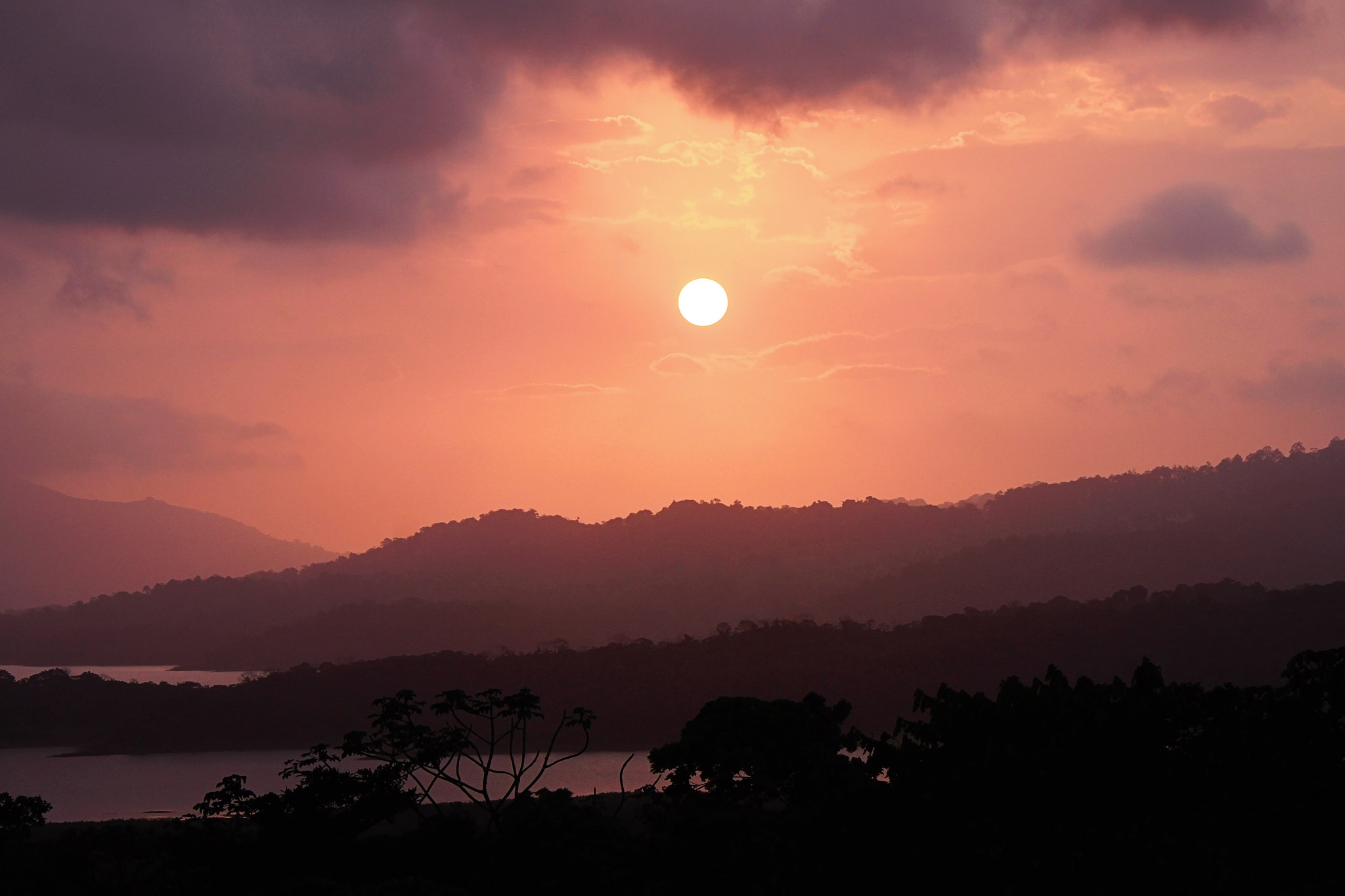 Canon EOS 500D (EOS Rebel T1i / EOS Kiss X3) sample photo. Sunset closeup photography