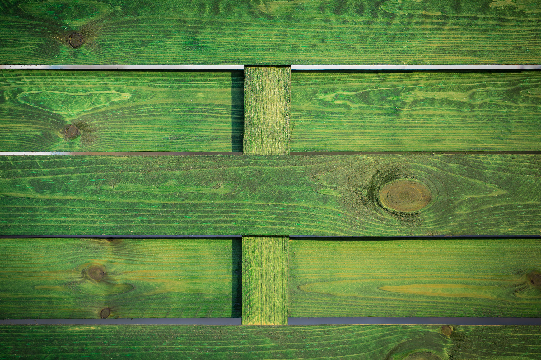 Nikon D4S + Sigma 70mm F2.8 EX DG Macro sample photo. Green wooden background texture photography