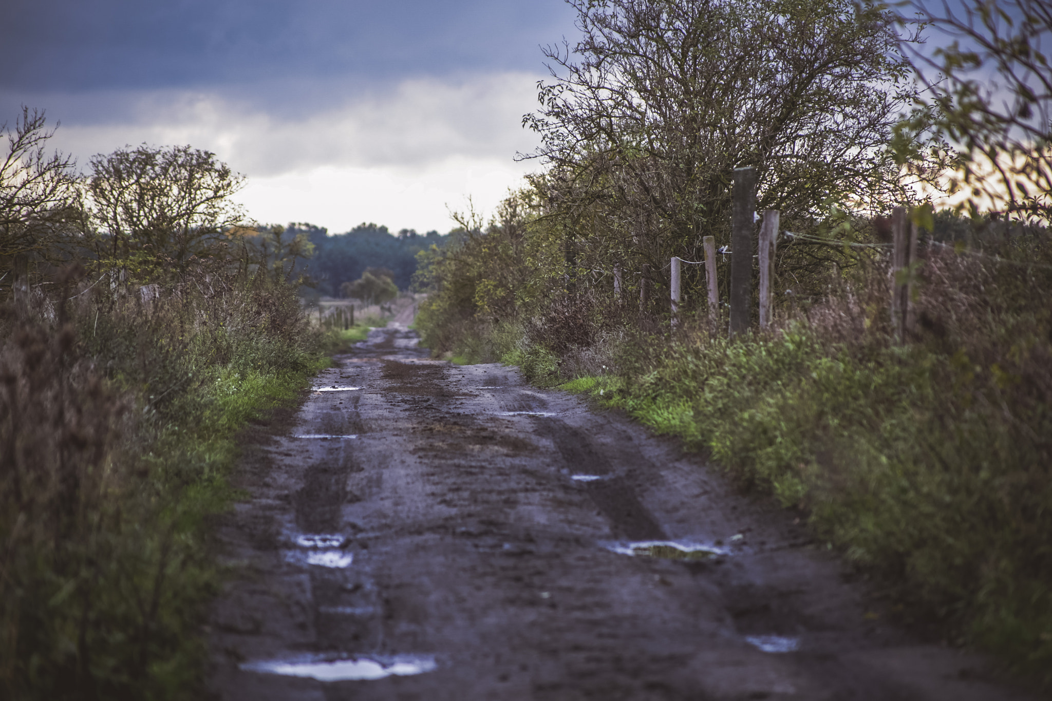Canon EOS 6D sample photo. "mudway" photography