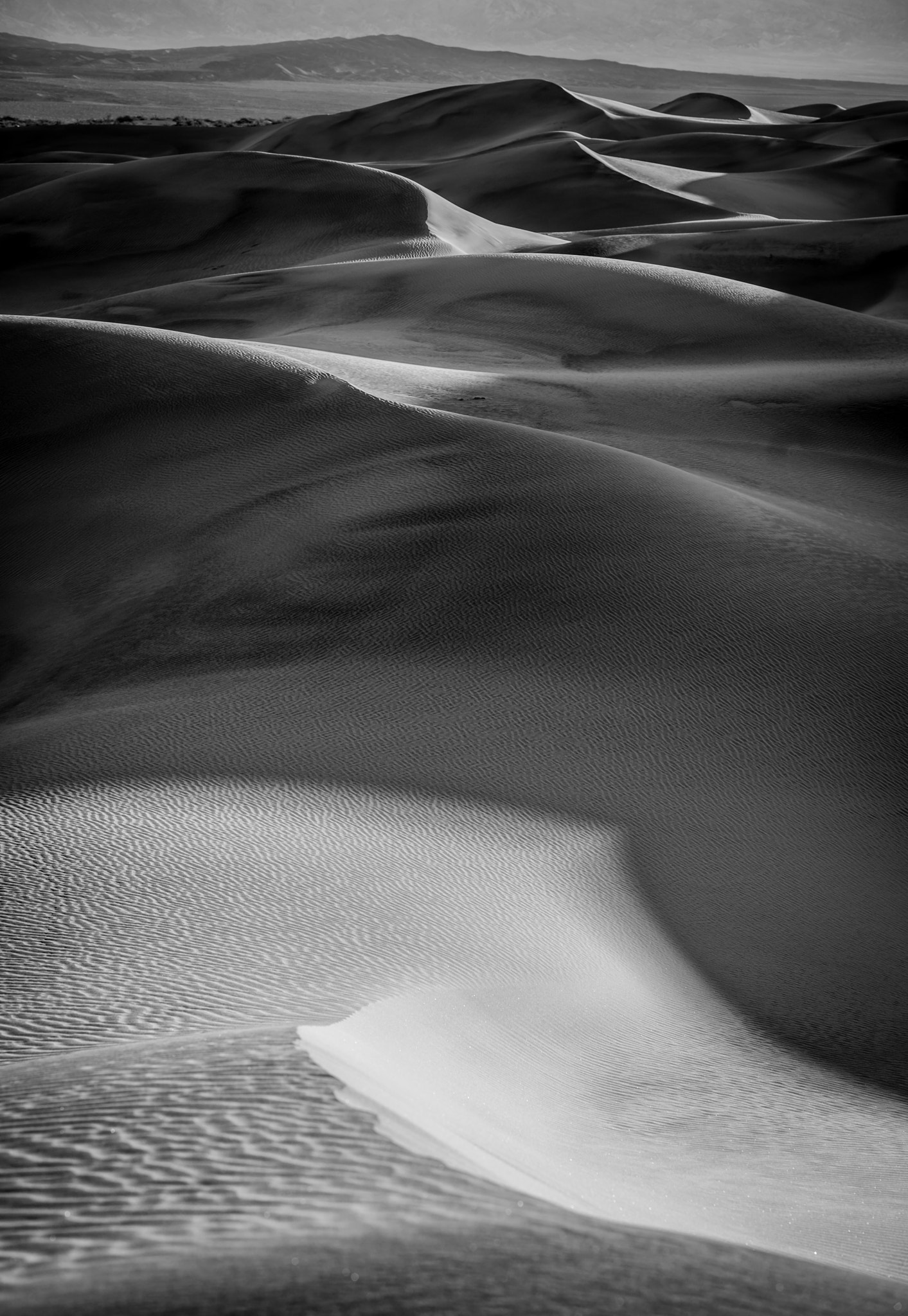 ZEISS Batis 85mm F1.8 sample photo. Curves photography