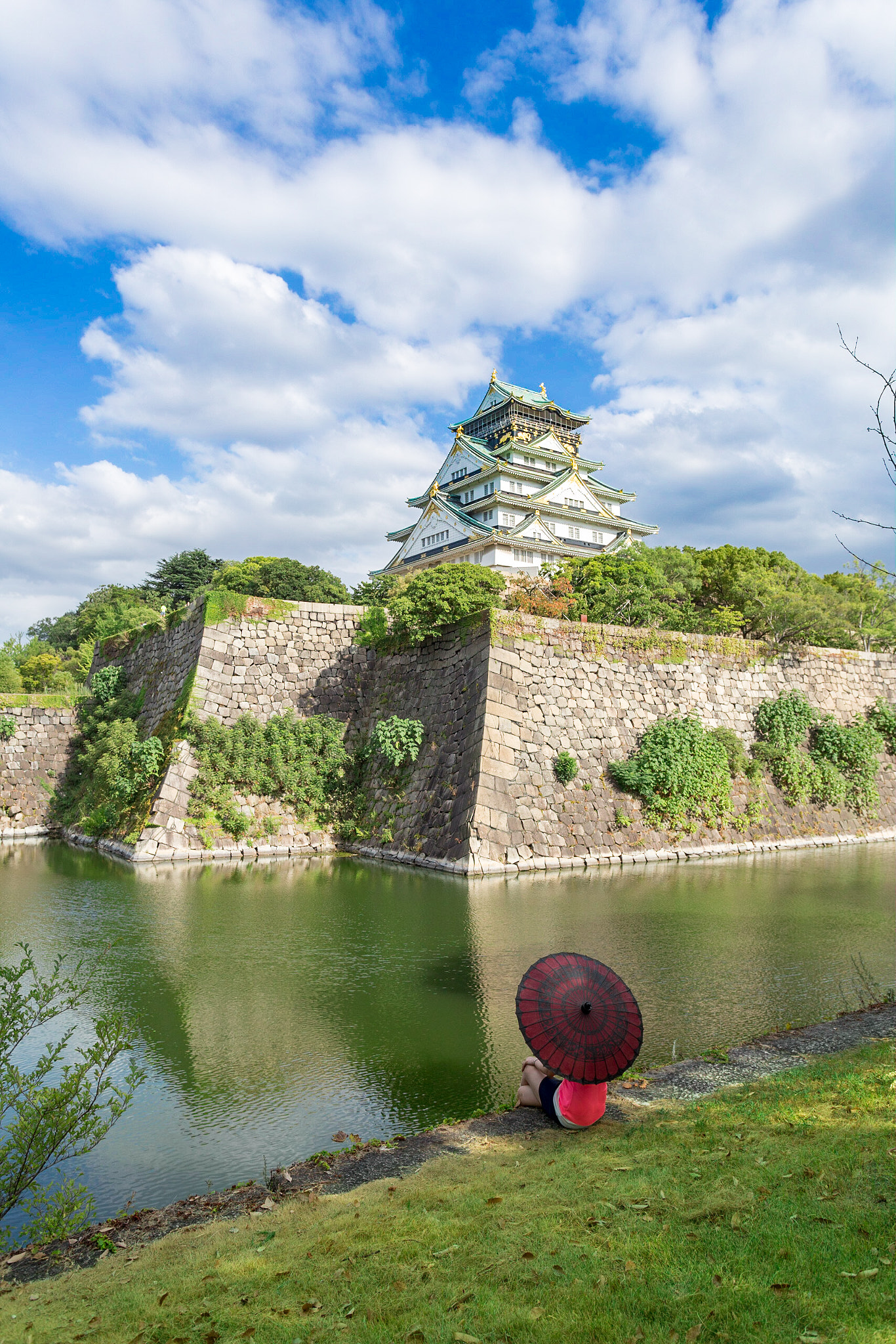 Osaka Castle Portrait