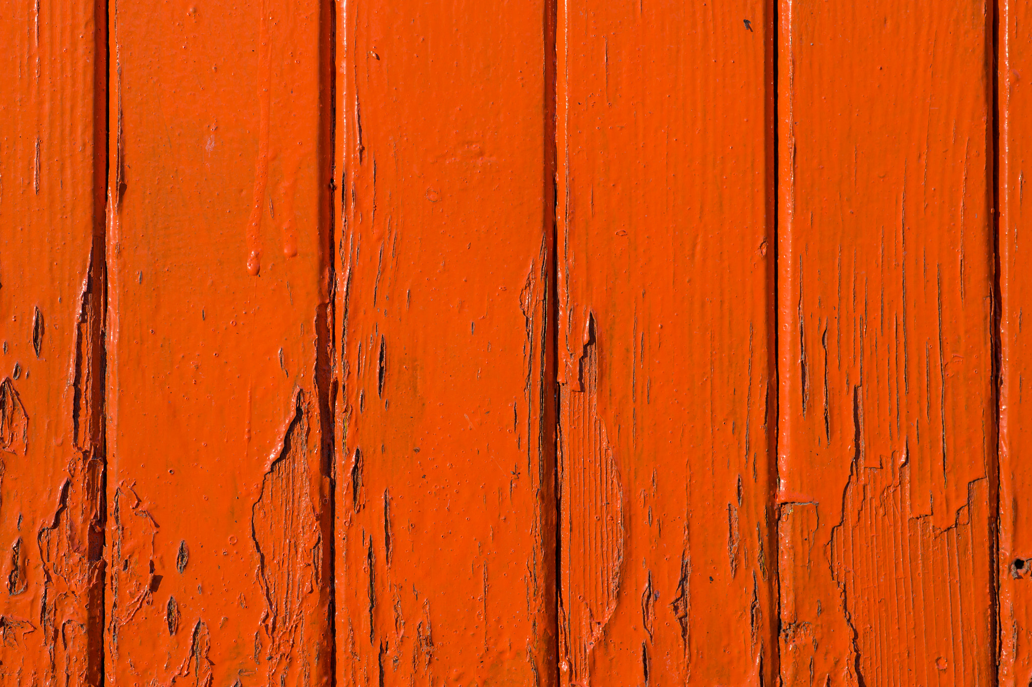 Nikon D4S + Sigma 70mm F2.8 EX DG Macro sample photo. Orange wooden background texture photography