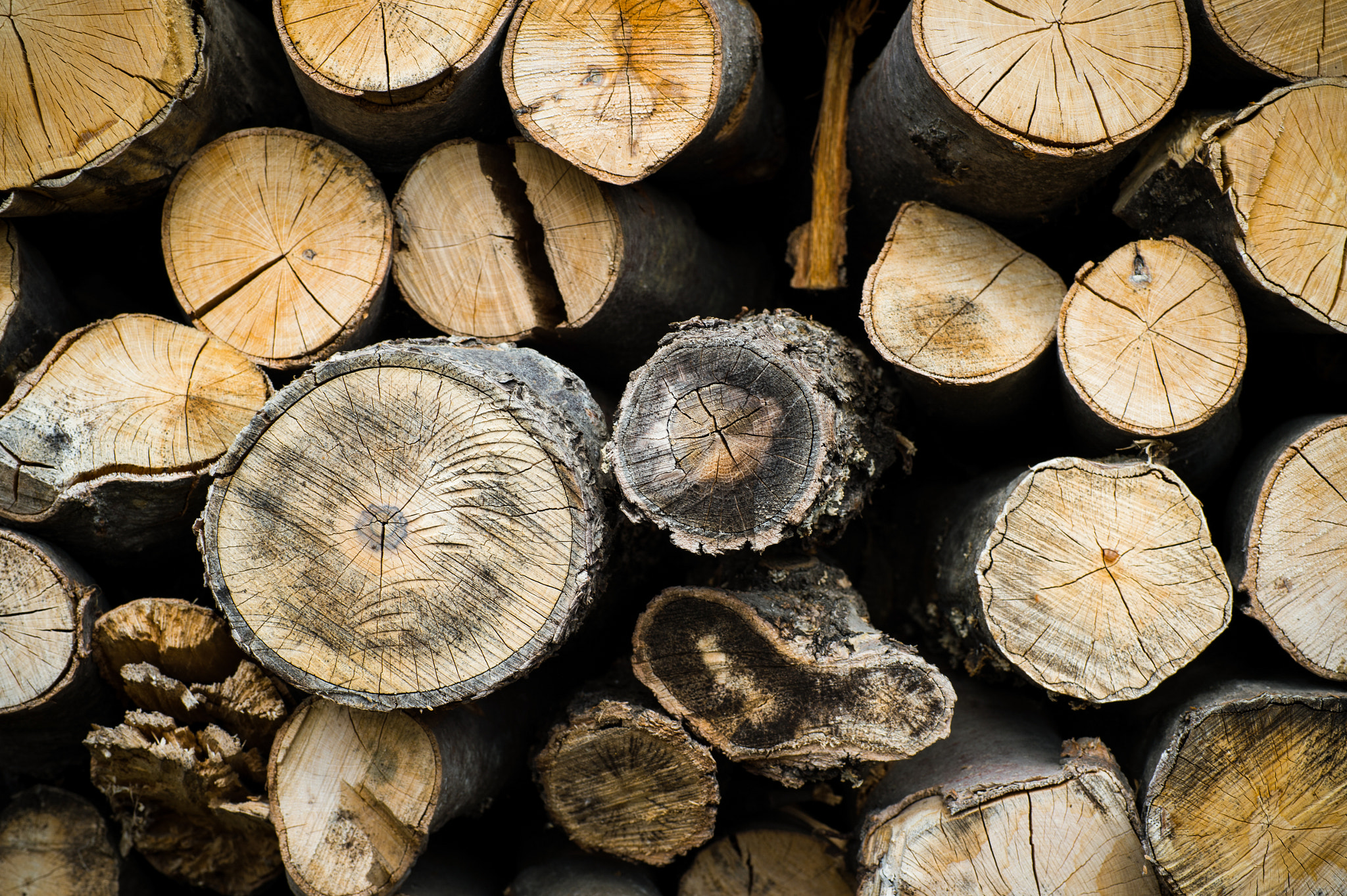 Nikon D4S + Sigma 70mm F2.8 EX DG Macro sample photo. Pile of firewood logs photography