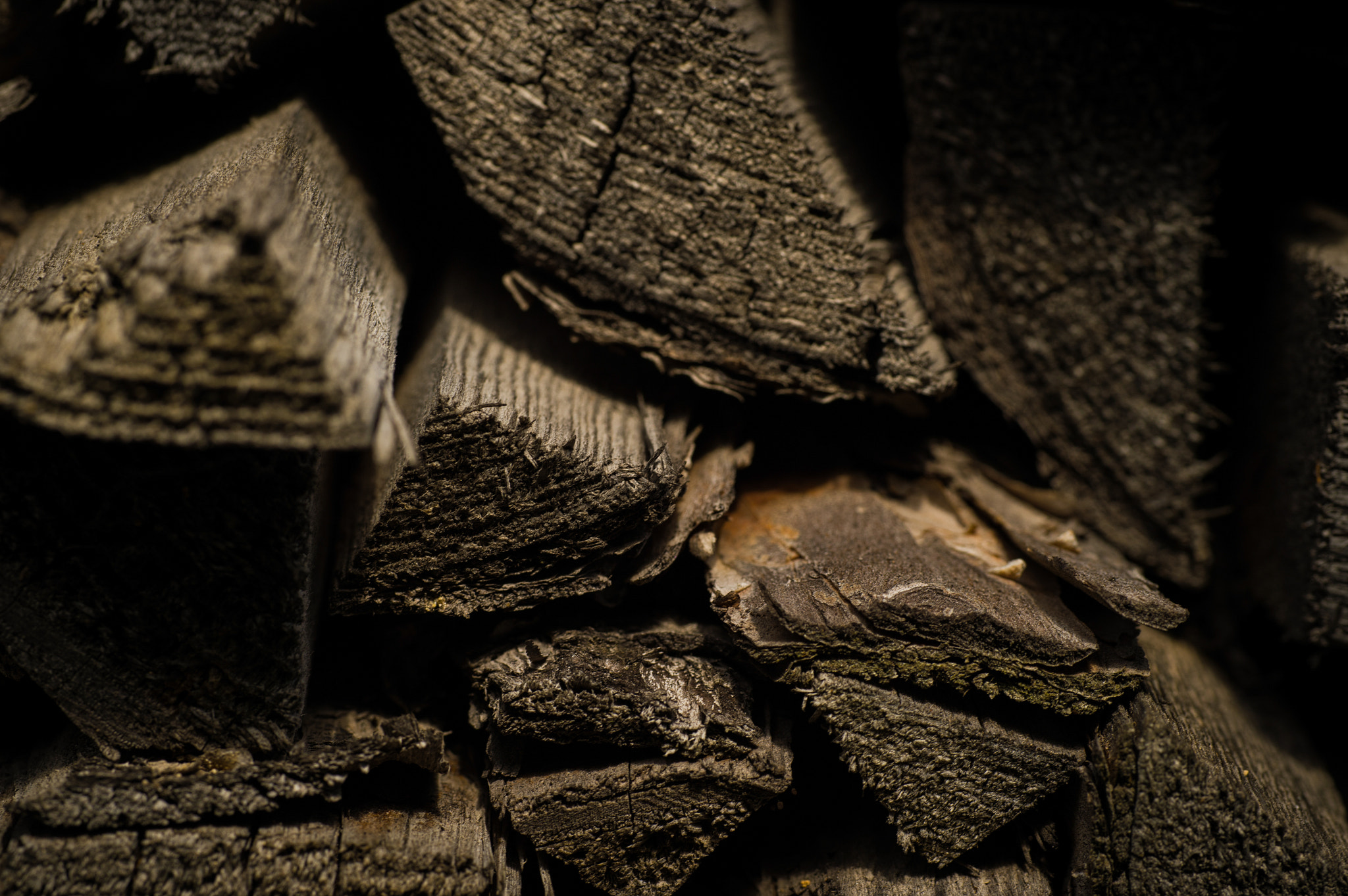 Nikon D4S + Sigma 70mm F2.8 EX DG Macro sample photo. Pile of firewood logs photography