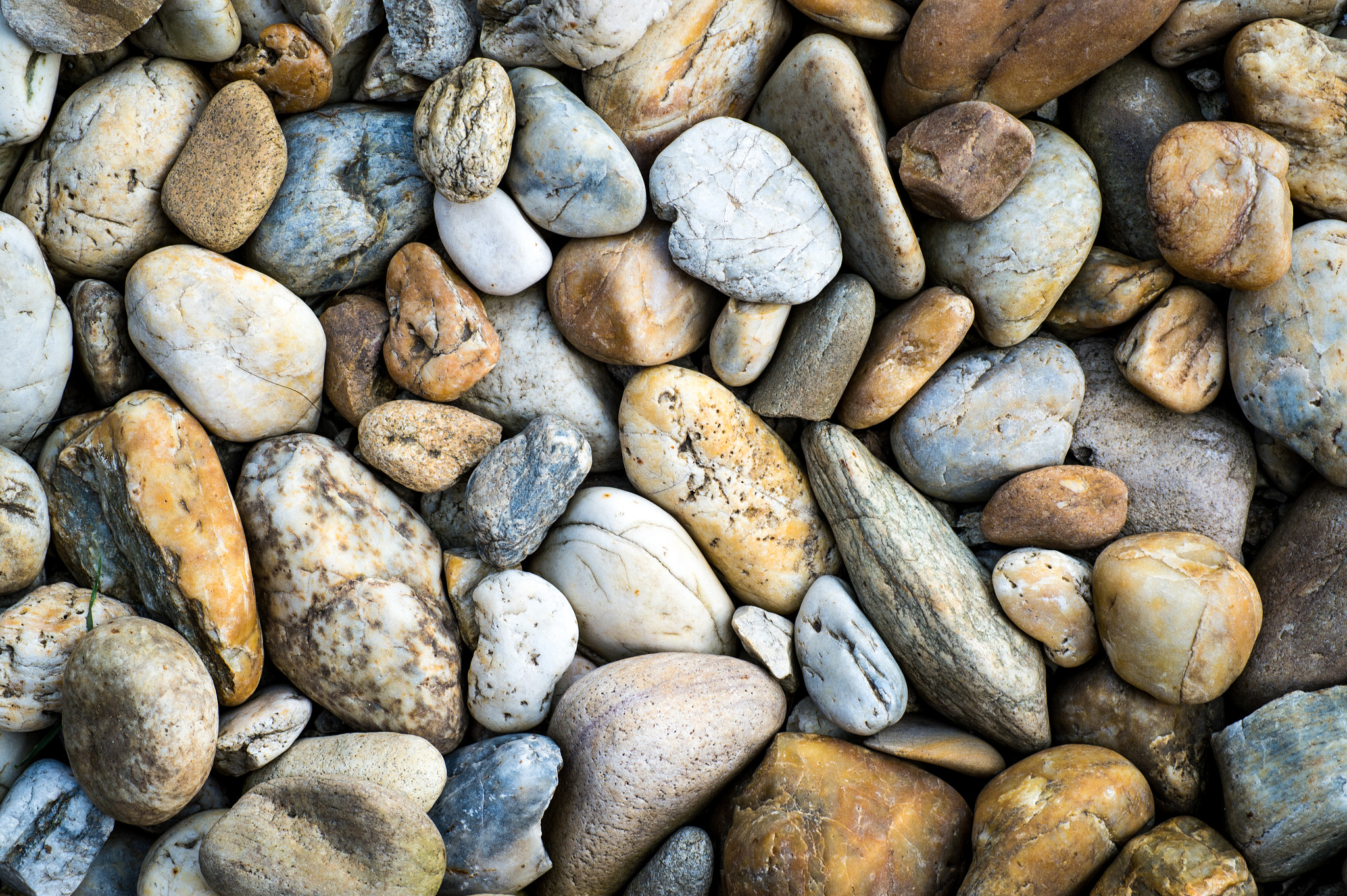 Nikon D4S + Sigma 70mm F2.8 EX DG Macro sample photo. Sea stones background photography