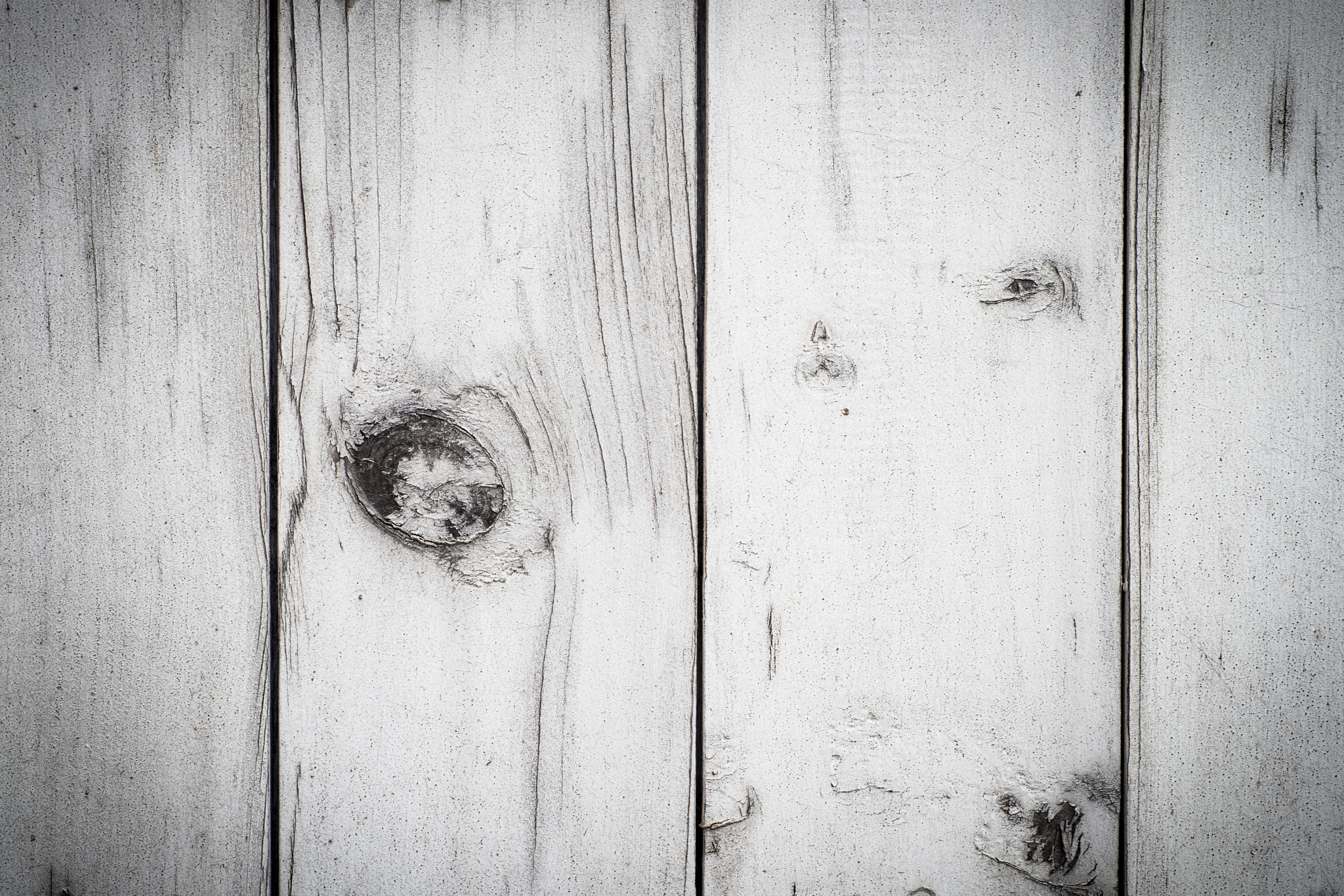 Sigma 70mm F2.8 EX DG Macro sample photo. White wooden background photography
