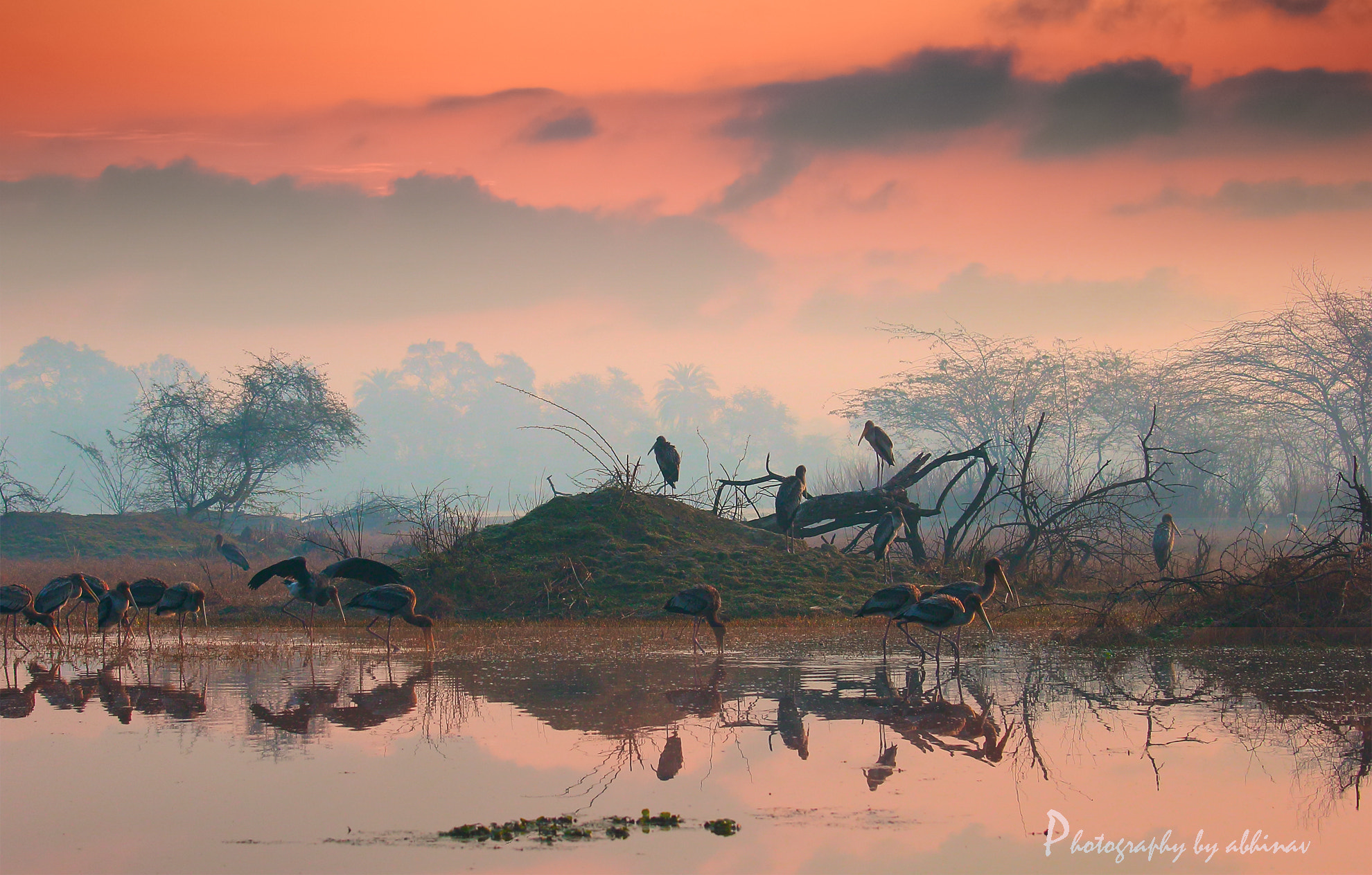 Canon EOS 60D + Canon EF 70-200mm F4L IS USM sample photo. Red misty morning photography