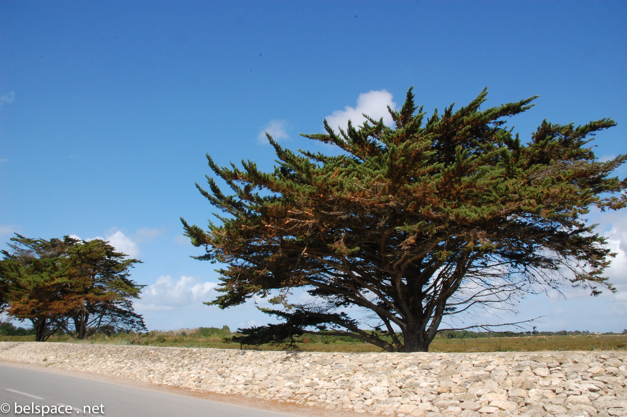 Sigma 18-200mm F3.5-6.3 DC sample photo. Ile francaise photography