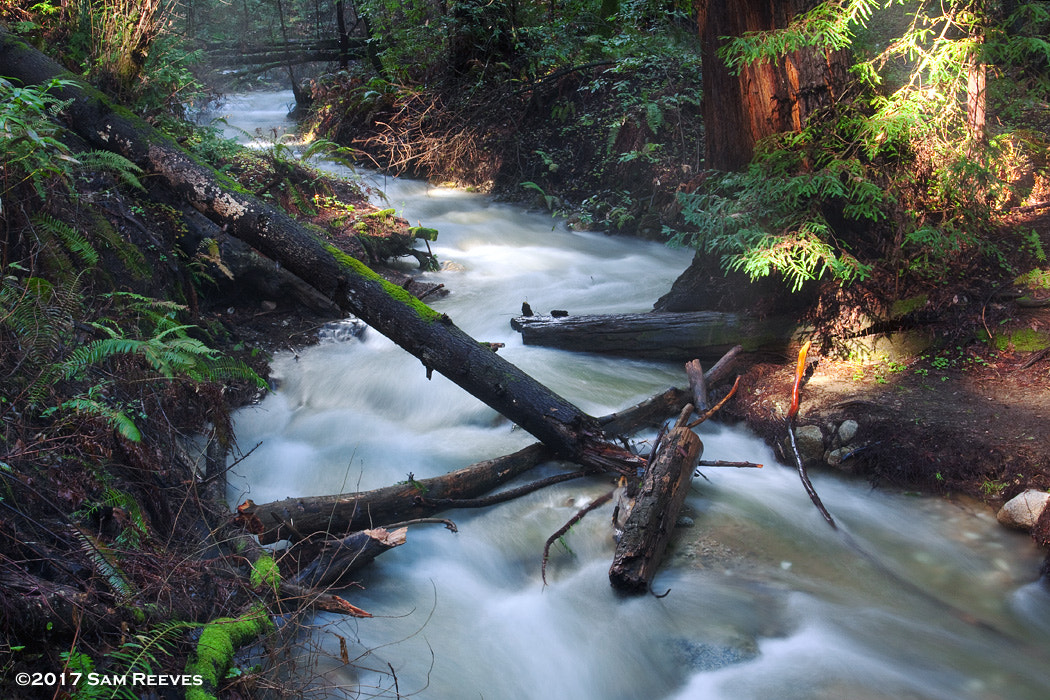 Canon EOS 50D + Canon EF 17-40mm F4L USM sample photo. Fall creek runoff photography