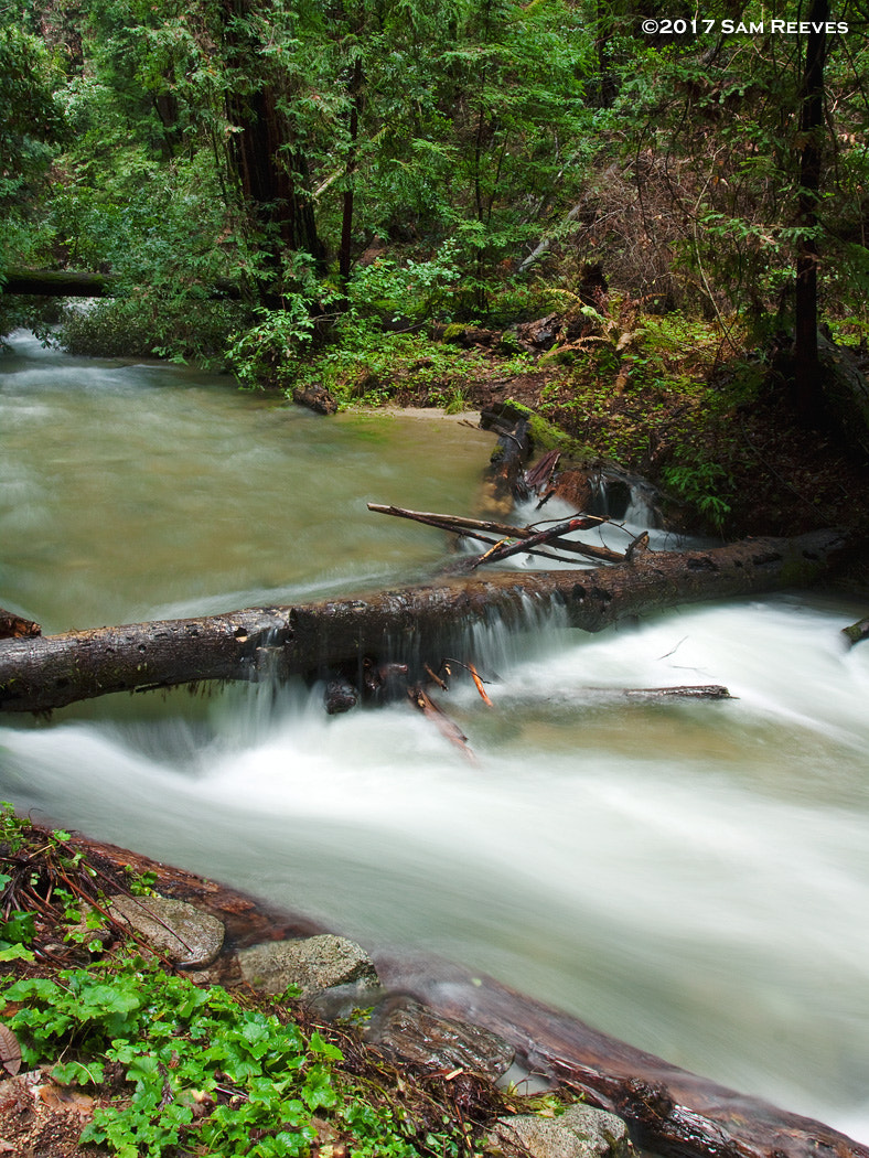 Canon EOS 50D + Canon EF 17-40mm F4L USM sample photo. Fall creek runoff photography