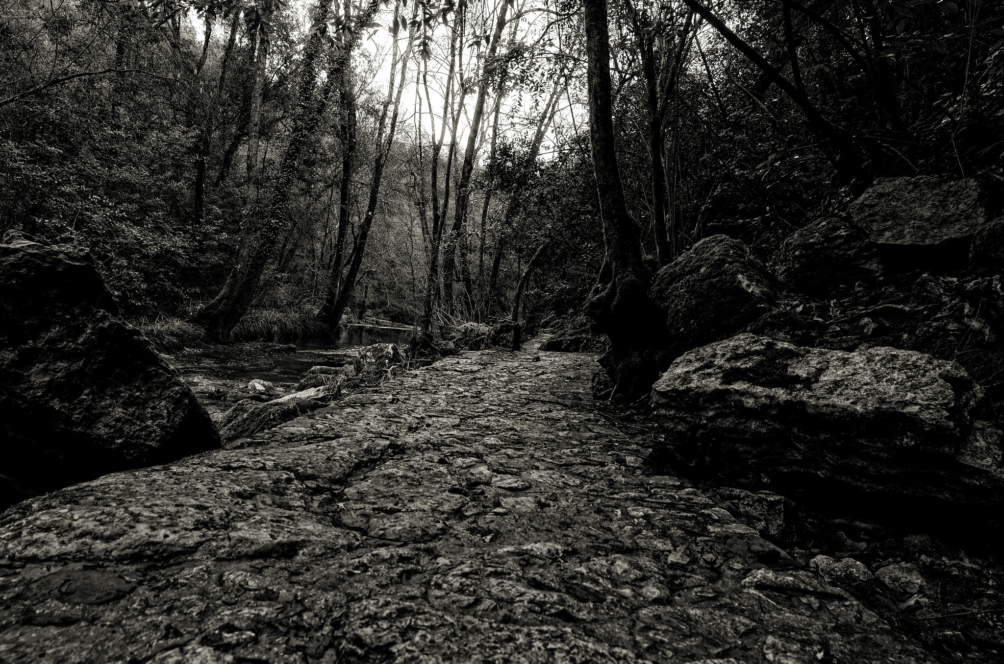 Nikon D5100 + Samyang 14mm F2.8 ED AS IF UMC sample photo. Stone way in the forest photography