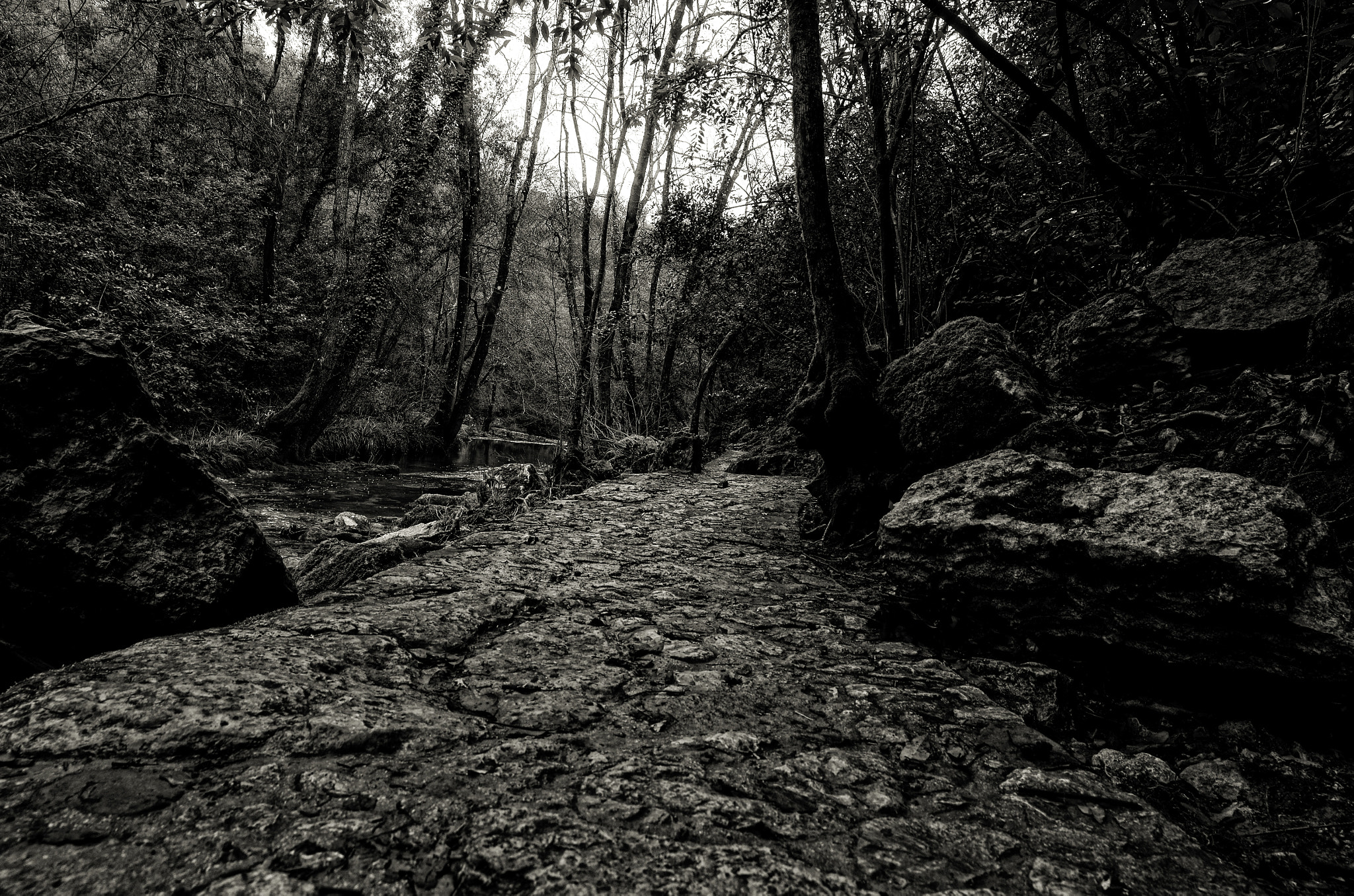 Samyang 14mm F2.8 ED AS IF UMC sample photo. Stone way in the forest photography